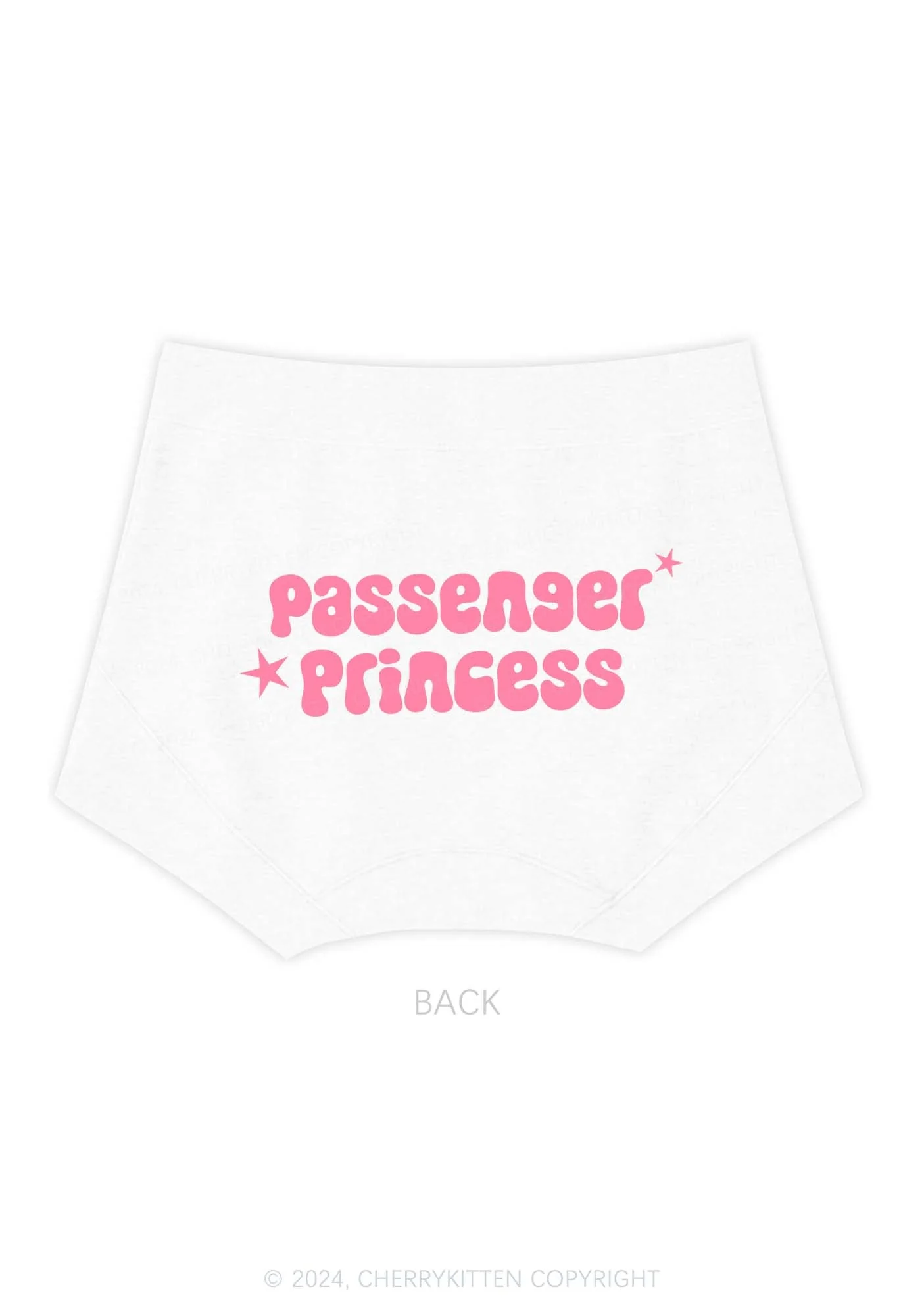 Passenger Princess Y2K Mid Rise Waist Boyshort Cherrykitten - Image 4