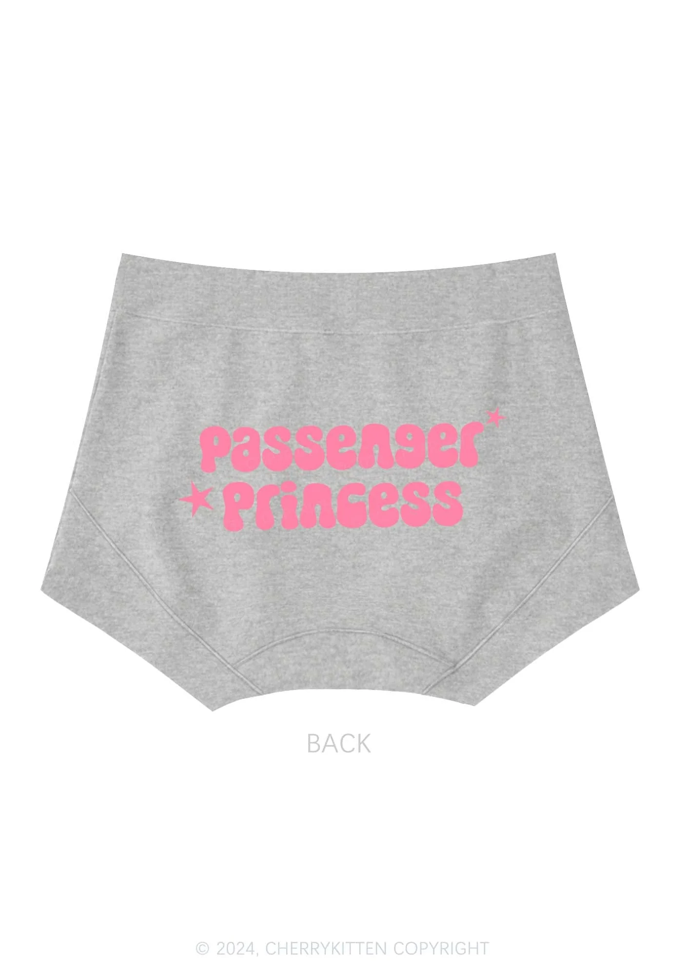 Passenger Princess Y2K Mid Rise Waist Boyshort Cherrykitten - Image 5
