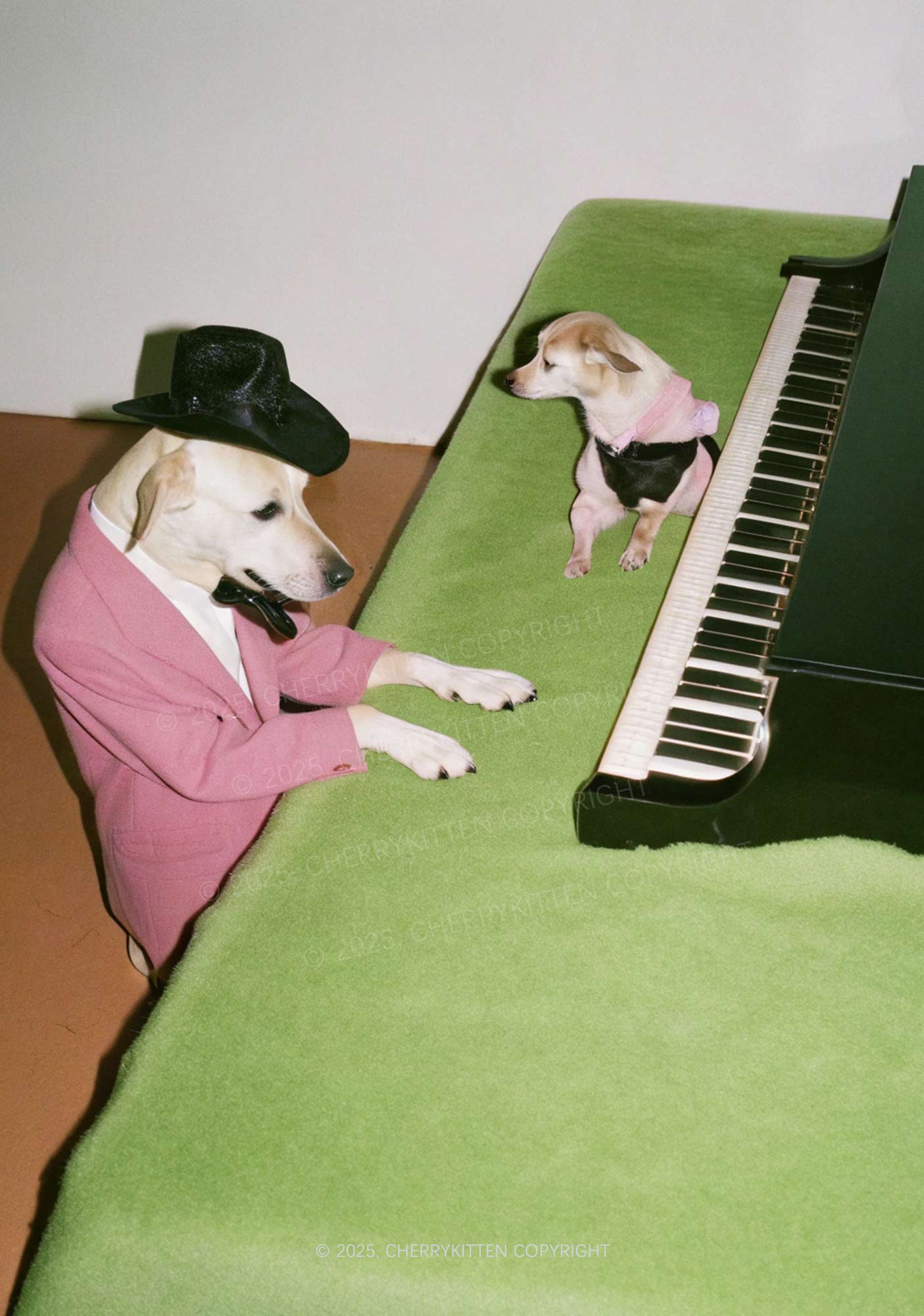 Piano Pups Y2K Mesh Long Sleeve Crop Top Cherrykitten - Image 2