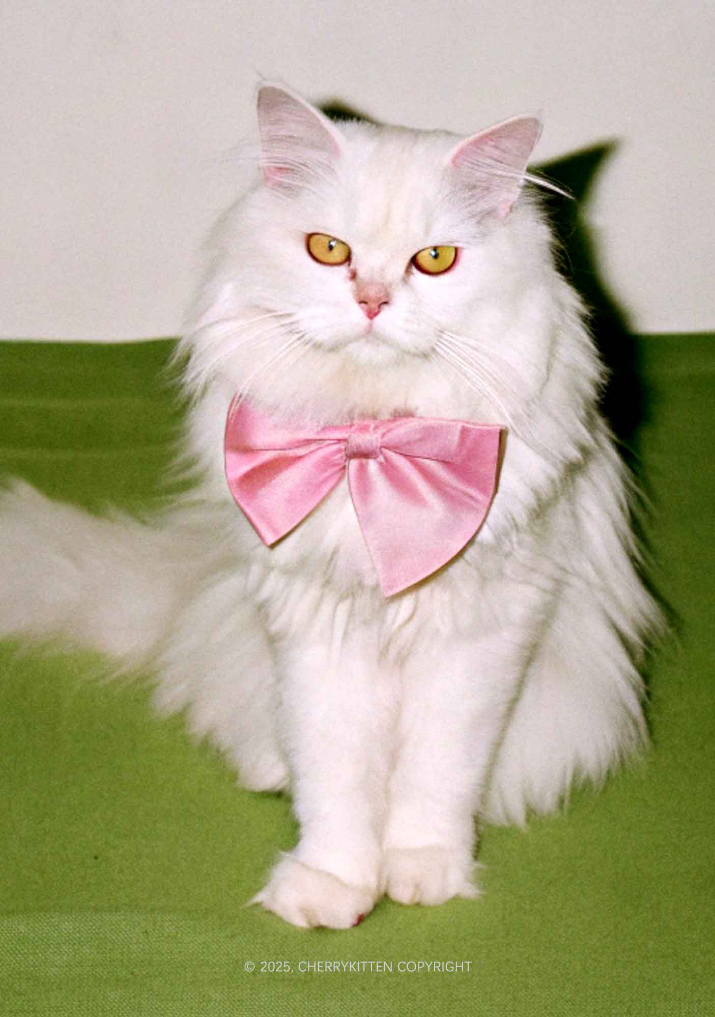 Pink Bow Cat Y2K Mesh Cami Tank Cherrykitten - Image 2
