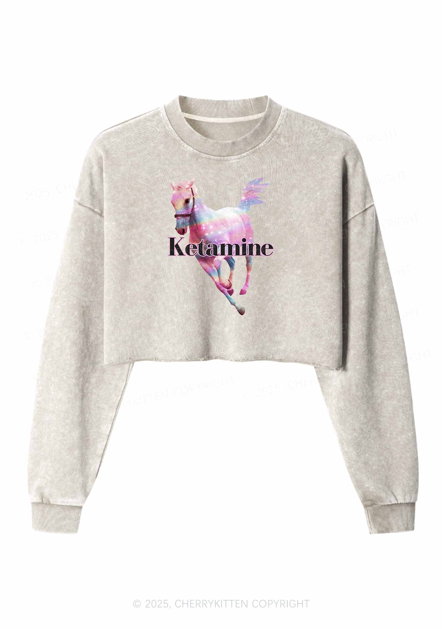 Pink Horse Y2K Crop Washed Sweatshirts Cherrykitten - Image 3