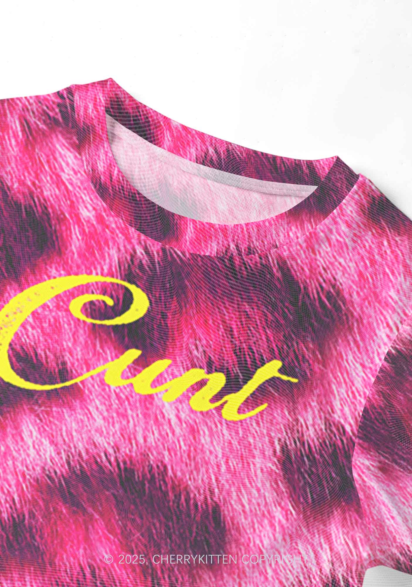 Pink Leopard Cxxt Y2K Mesh Crop Top Cherrykitten - Image 3