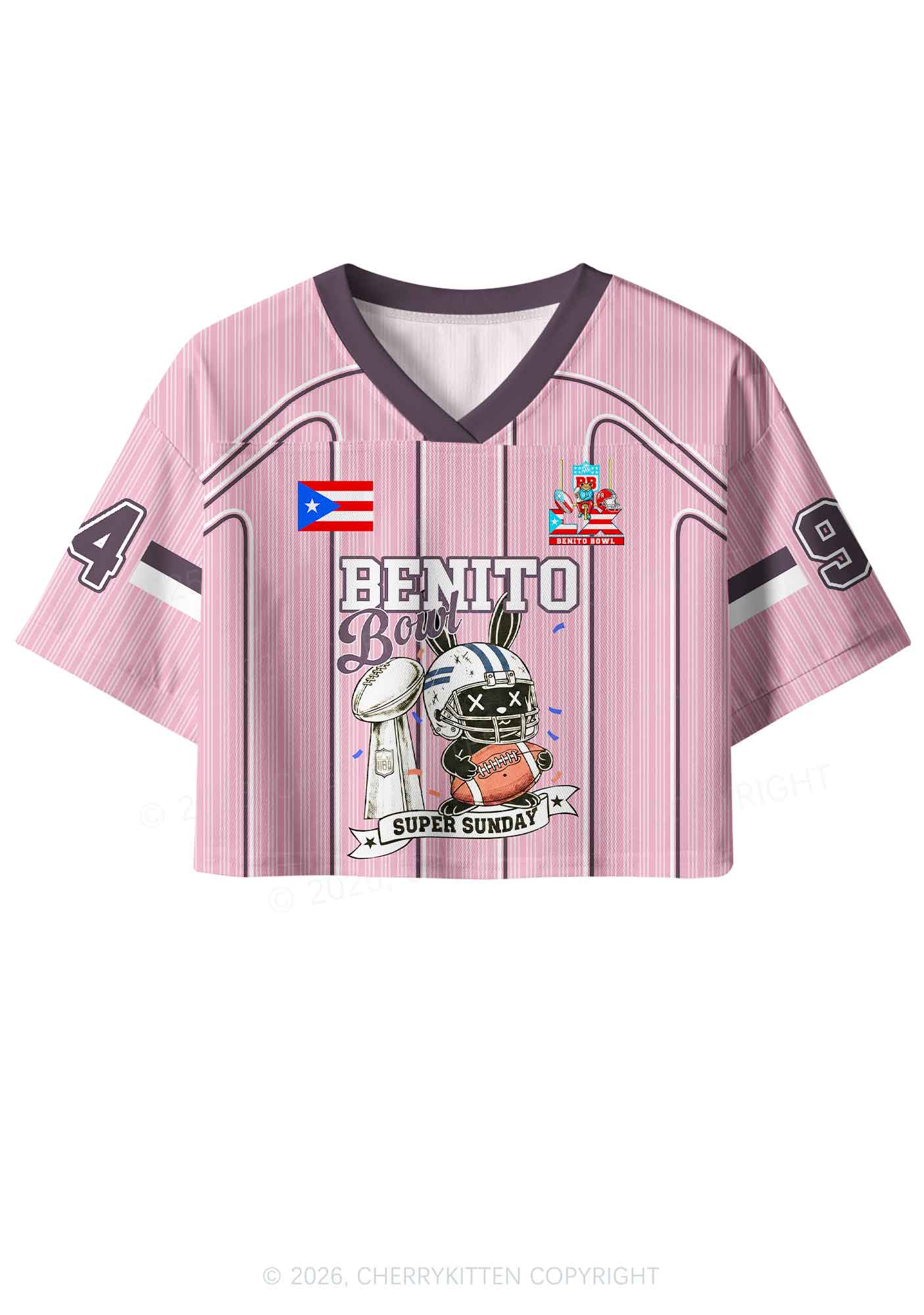 Pink Stripes Bunny Y2K Crop Sport Jersey Shirts Cherrykitten - Image 4
