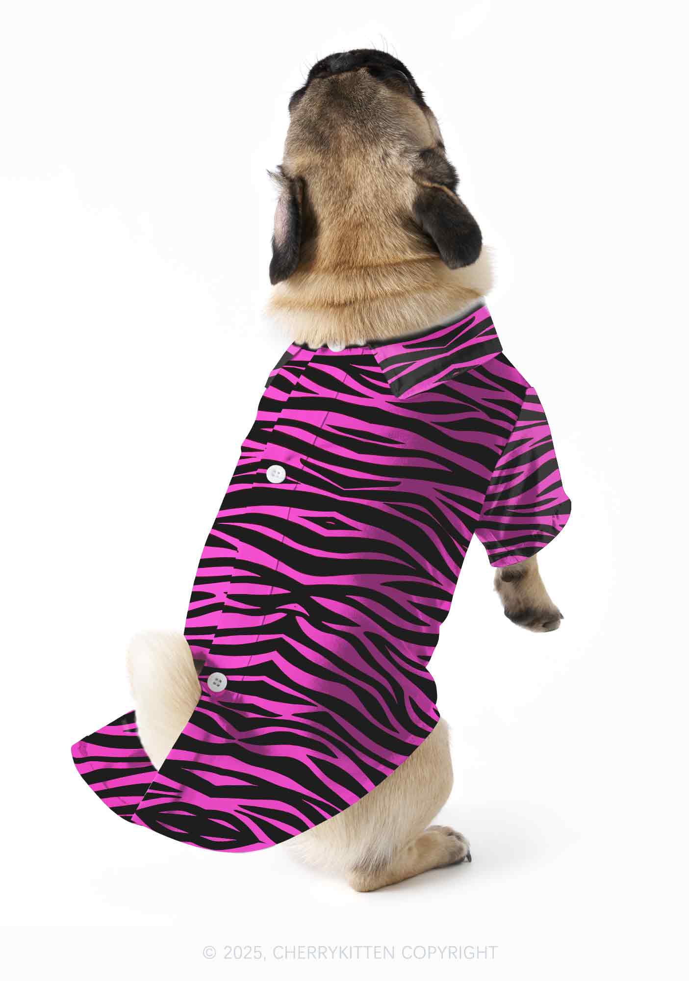 Pink Zebra Y2K Pet Shirts Cherrykitten - Image 2