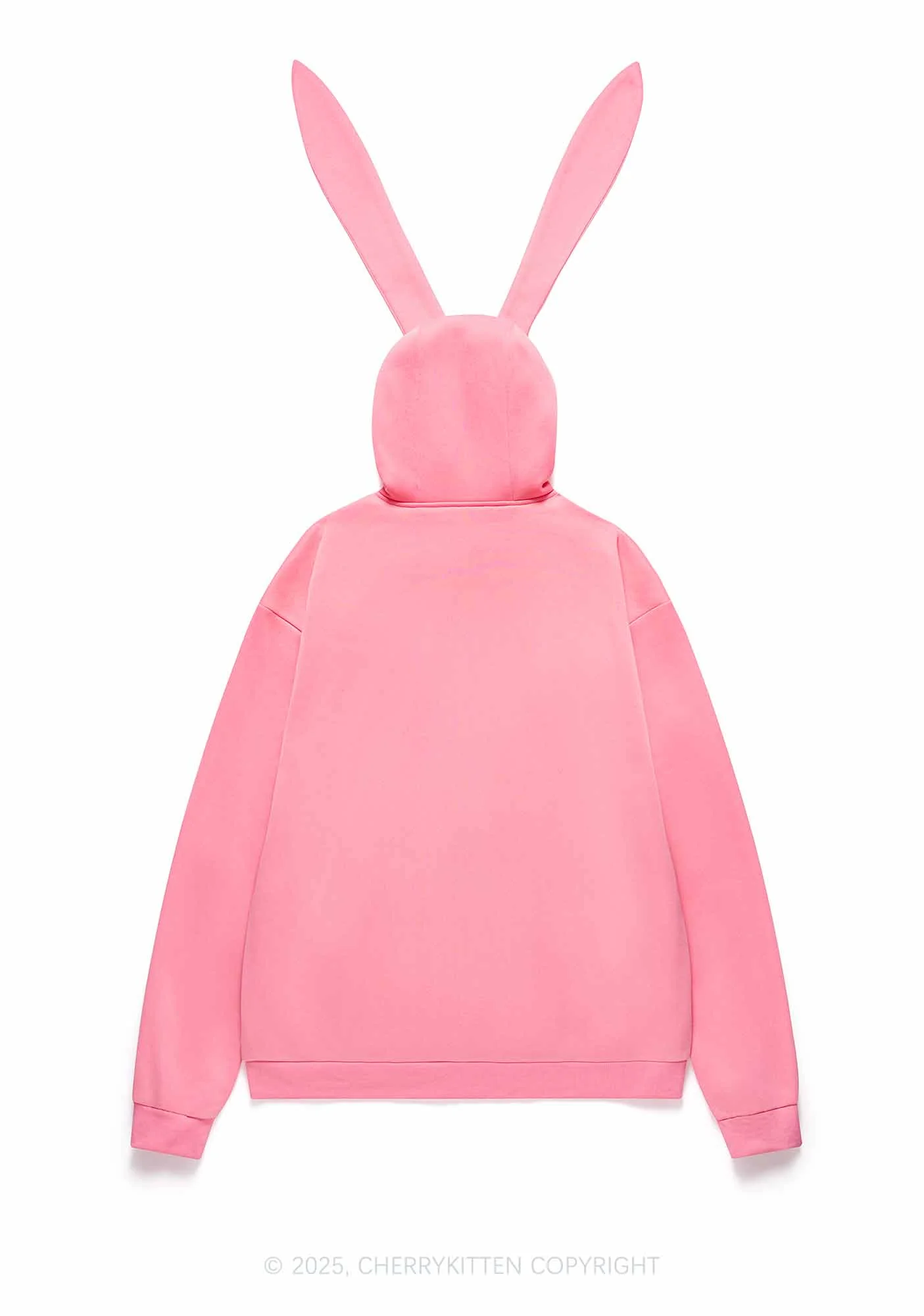 Plain Y2K Bunny Ear Zip Hoodie Cherrykitten - Image 7