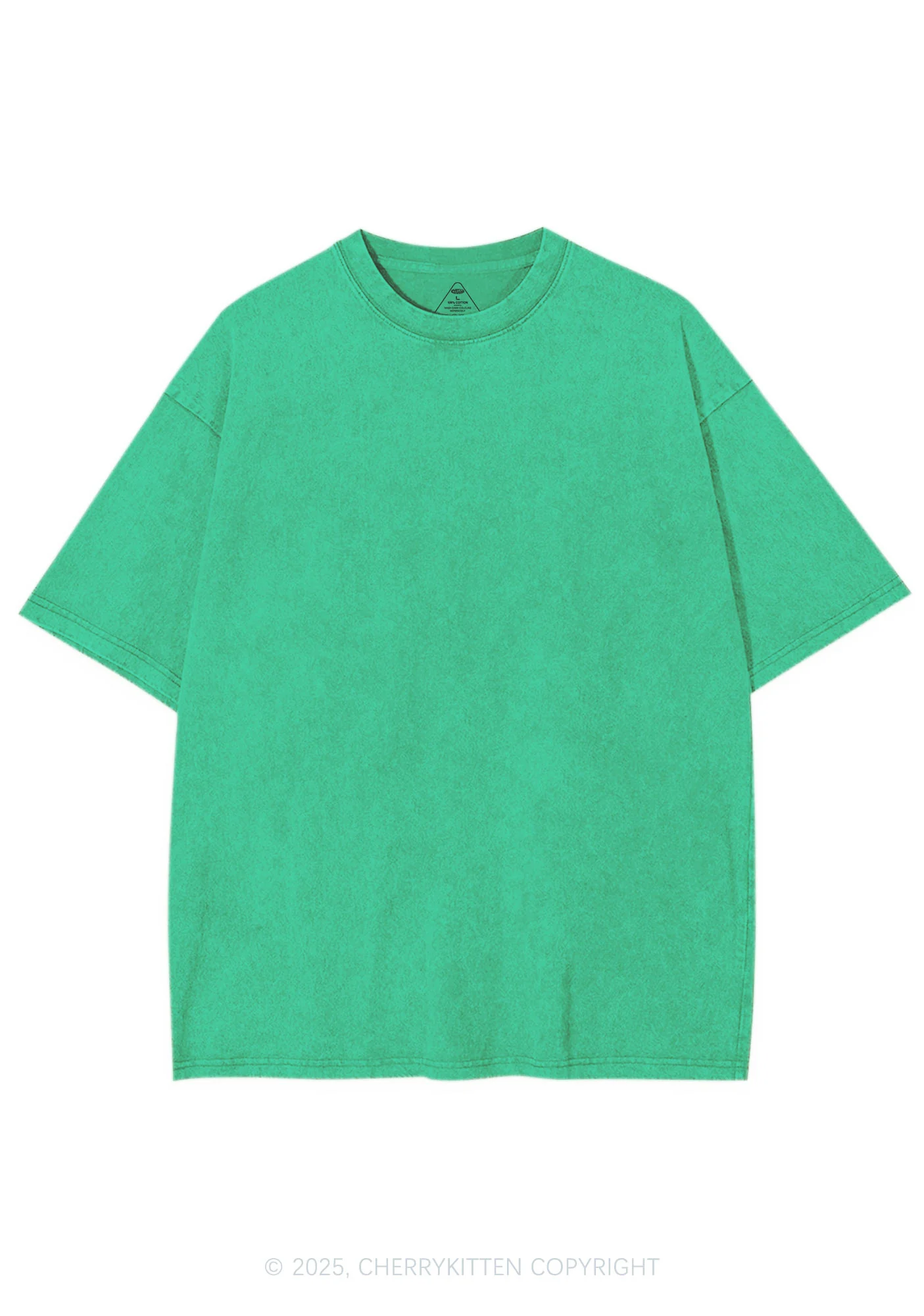 Plain Y2K Shirts Washed Tee Cherrykitten - Image 7