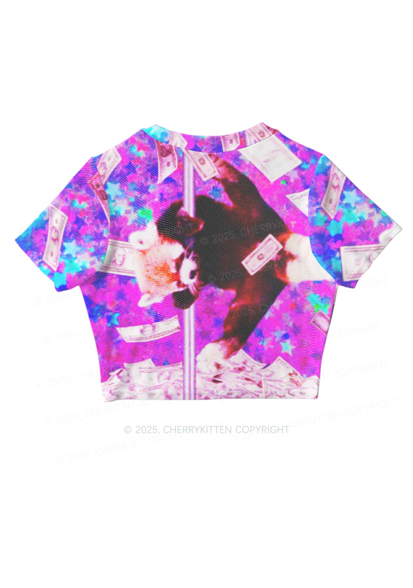 Pole Dancing Raccoon Y2K Mesh Crop Top Cherrykitten - Image 3