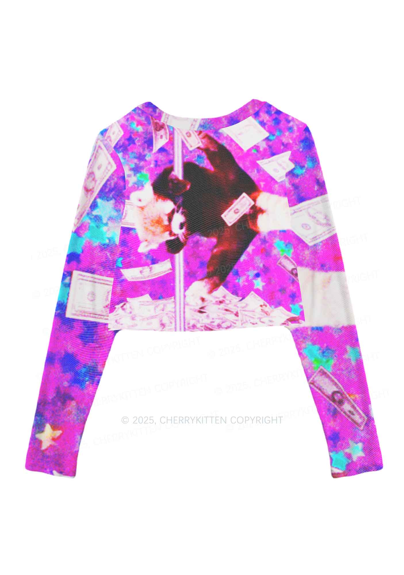Pole Dancing Raccoon Y2K Mesh Long Sleeve Crop Top Cherrykitten - Image 3