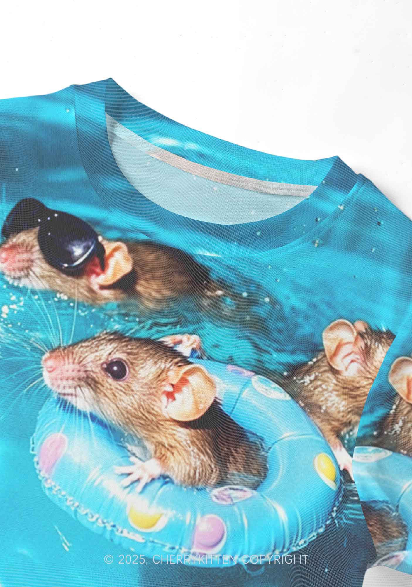 Pool Rats Y2K Mesh Crop Top Cherrykitten - Image 4