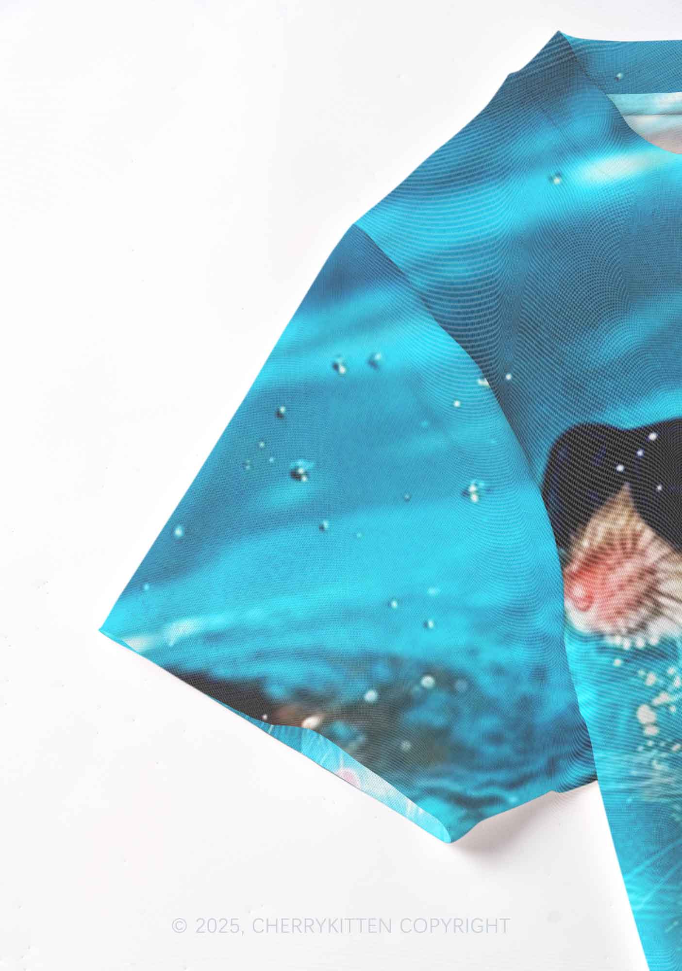 Pool Rats Y2K Mesh Crop Top Cherrykitten - Image 5