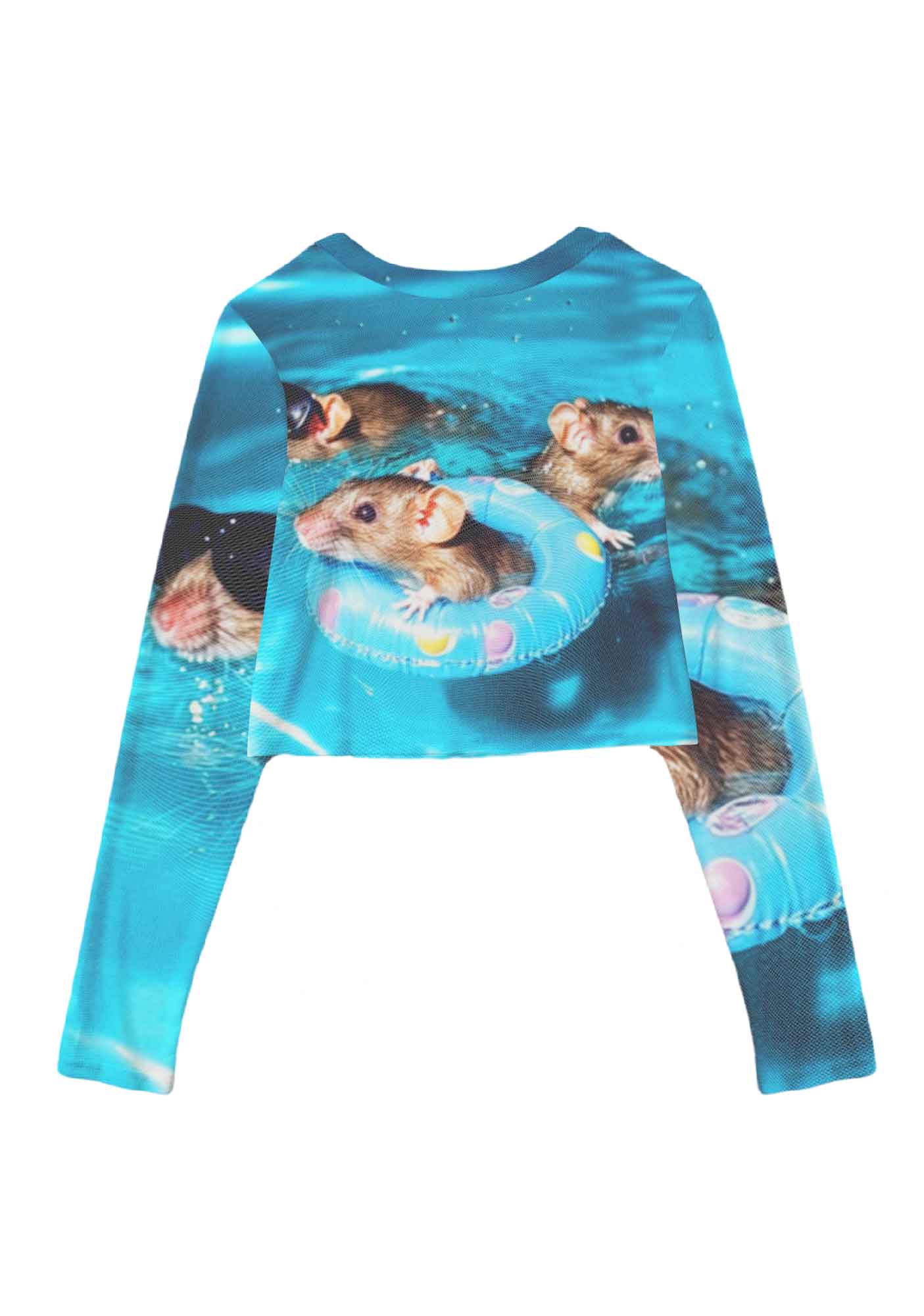 Pool Rats Y2K Mesh Long Sleeve Crop Top Cherrykitten - Image 3