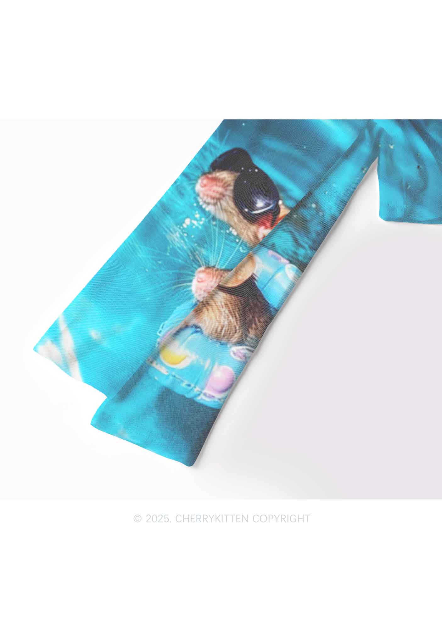 Pool Rats Y2K Mesh Long Sleeve Crop Top Cherrykitten - Image 4