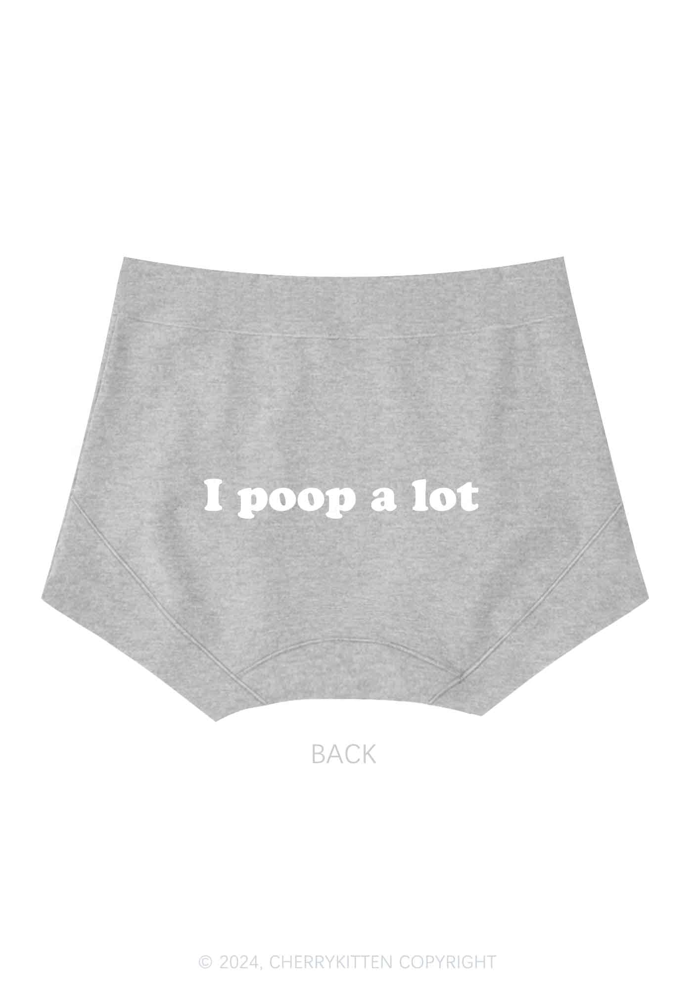 Poop A Lot Y2K Mid Rise Waist Boyshort Cherrykitten - Image 6