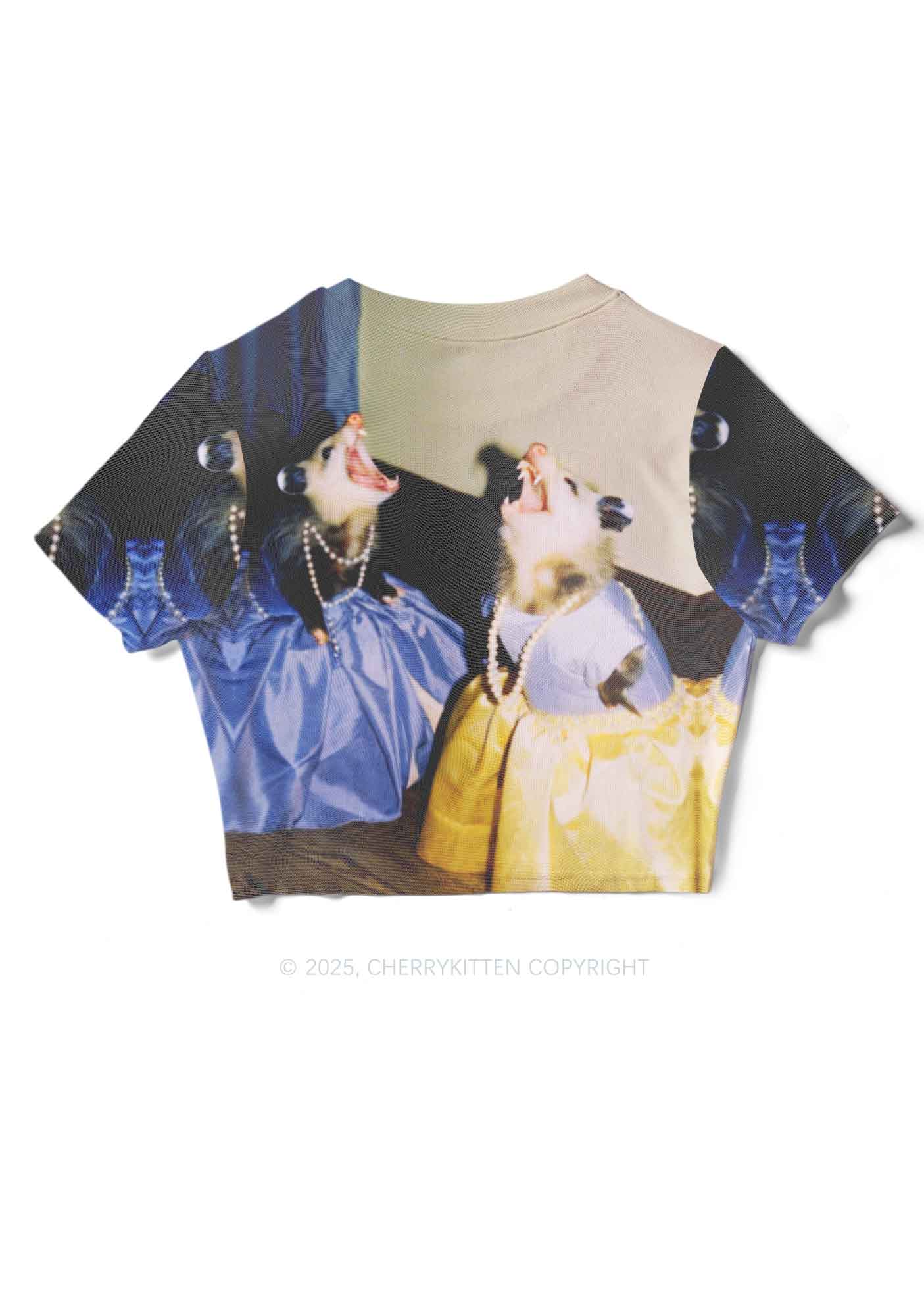 Princess Rats Y2K Mesh Crop Top Cherrykitten - Image 4