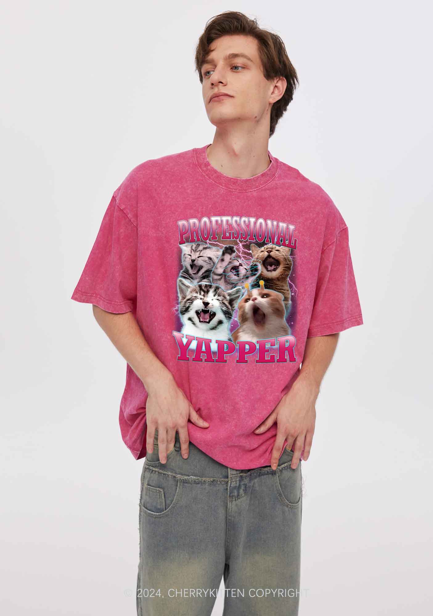 Professional Yapper Cat Y2K Washed Tee Cherrykitten - Image 2