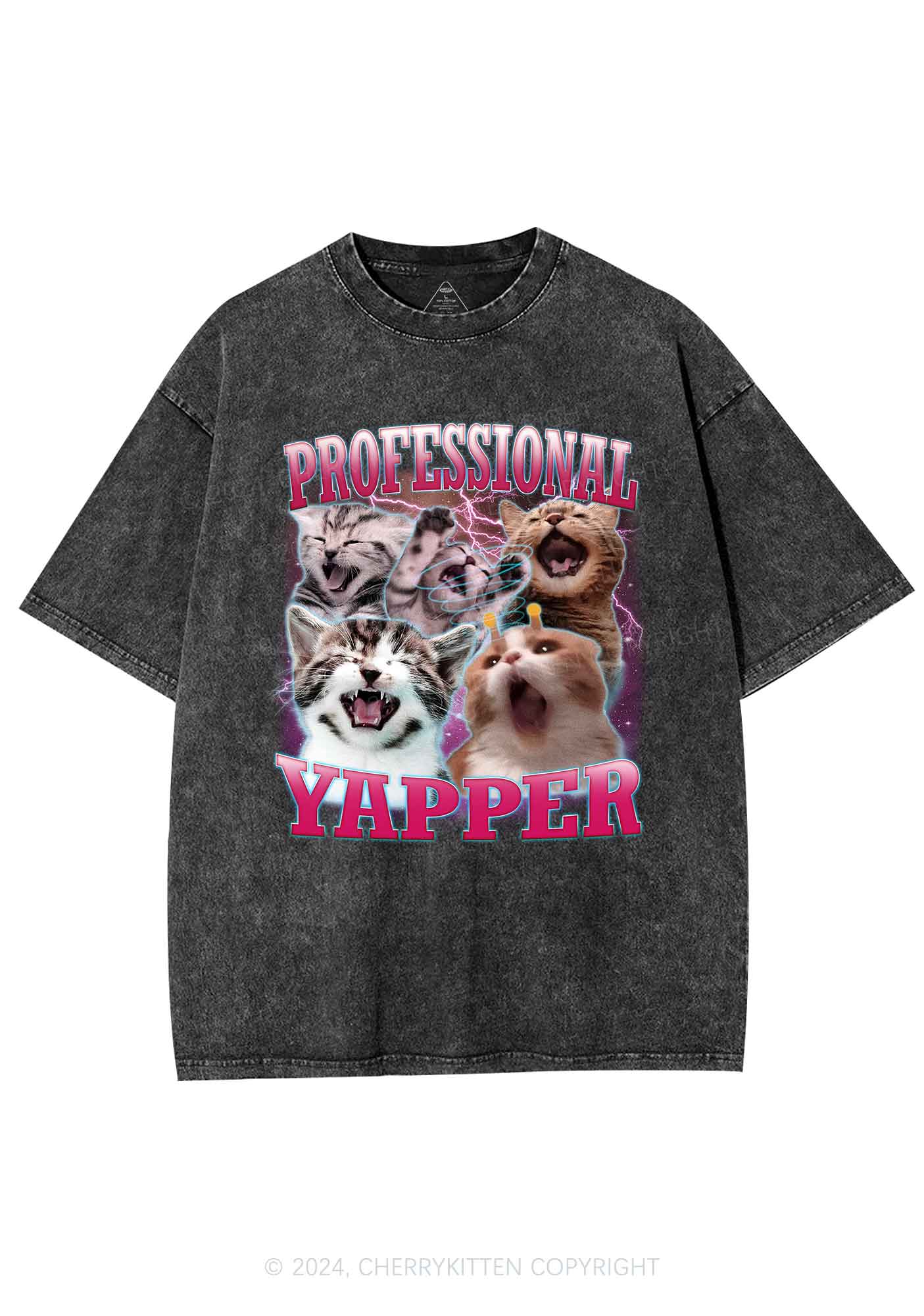 Professional Yapper Cat Y2K Washed Tee Cherrykitten - Image 4
