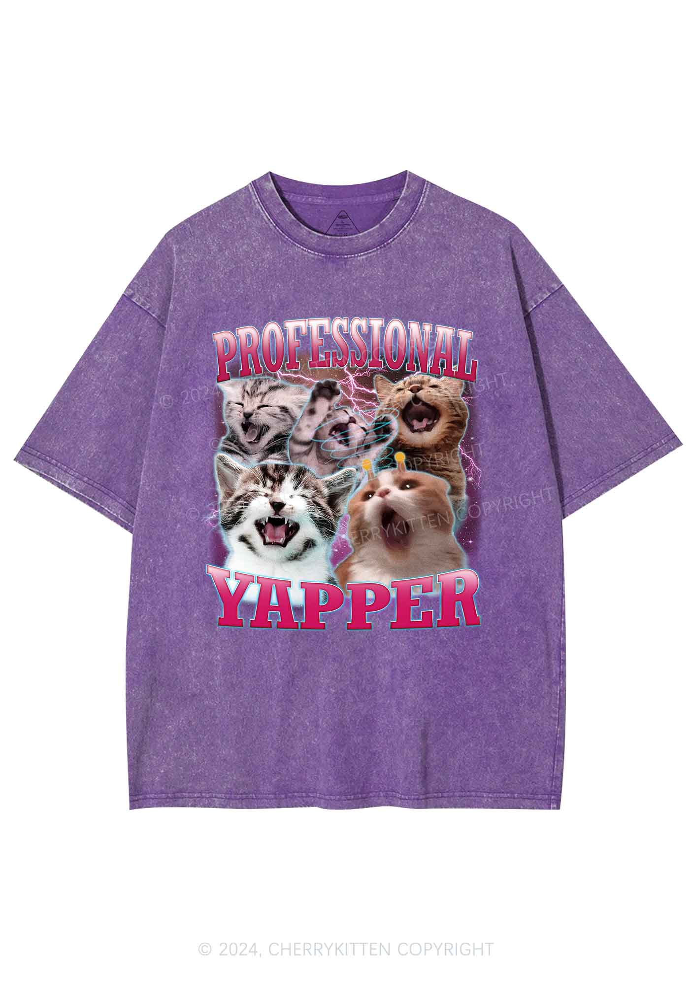 Professional Yapper Cat Y2K Washed Tee Cherrykitten - Image 5