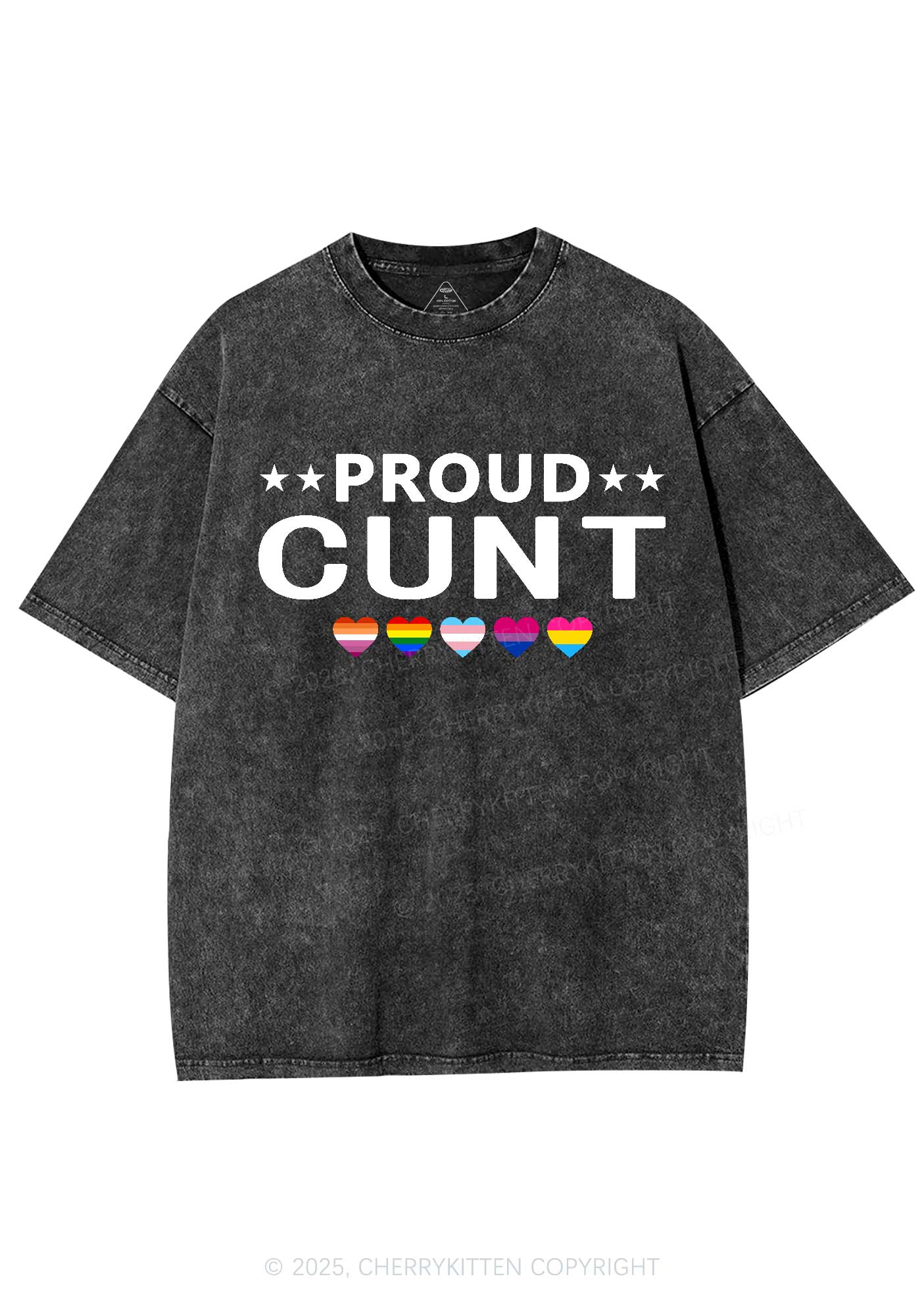 Proud Cxxt Pride Y2K Shirts Washed Tee Cherrykitten - Image 3
