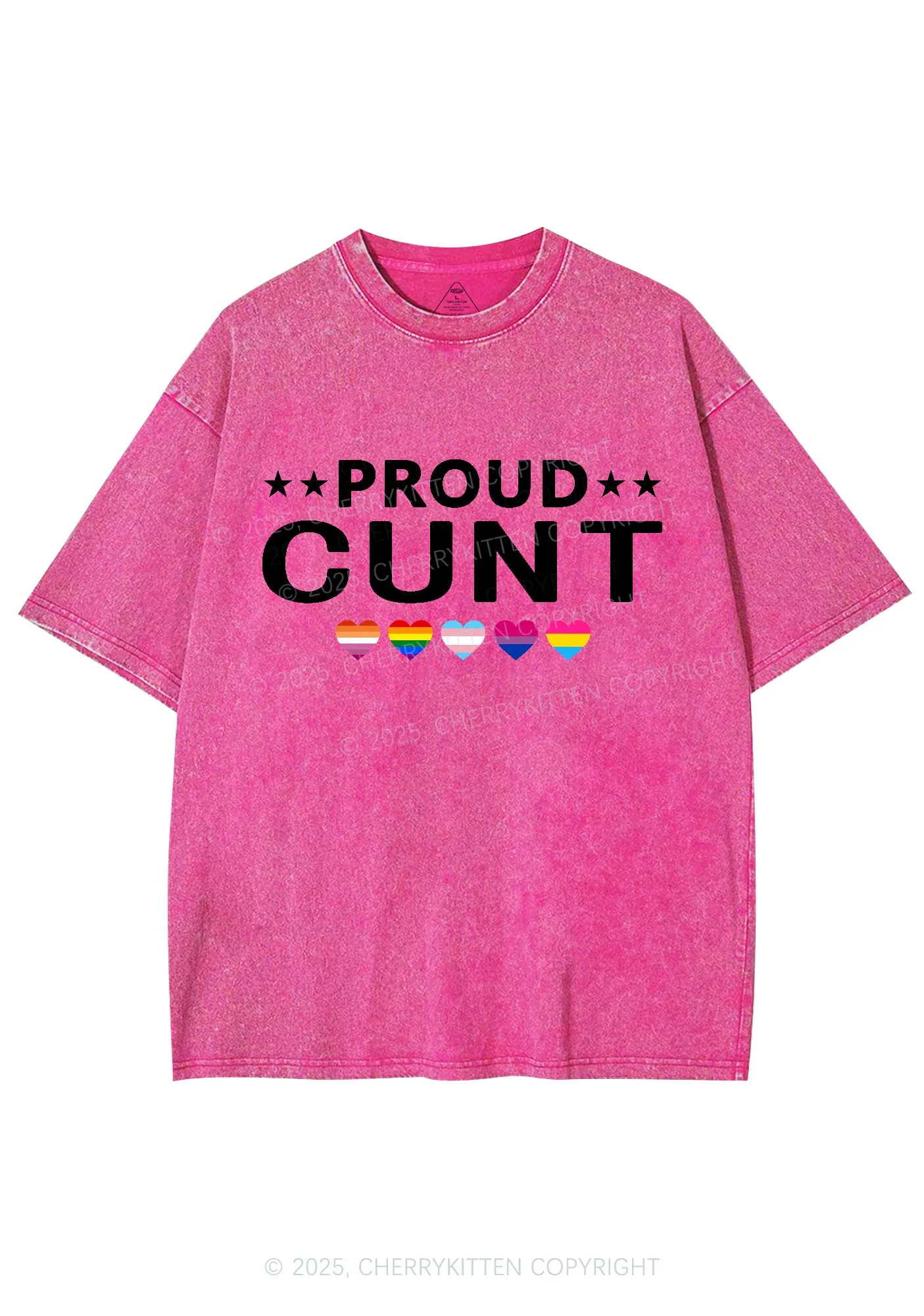 Proud Cxxt Pride Y2K Shirts Washed Tee Cherrykitten - Image 4