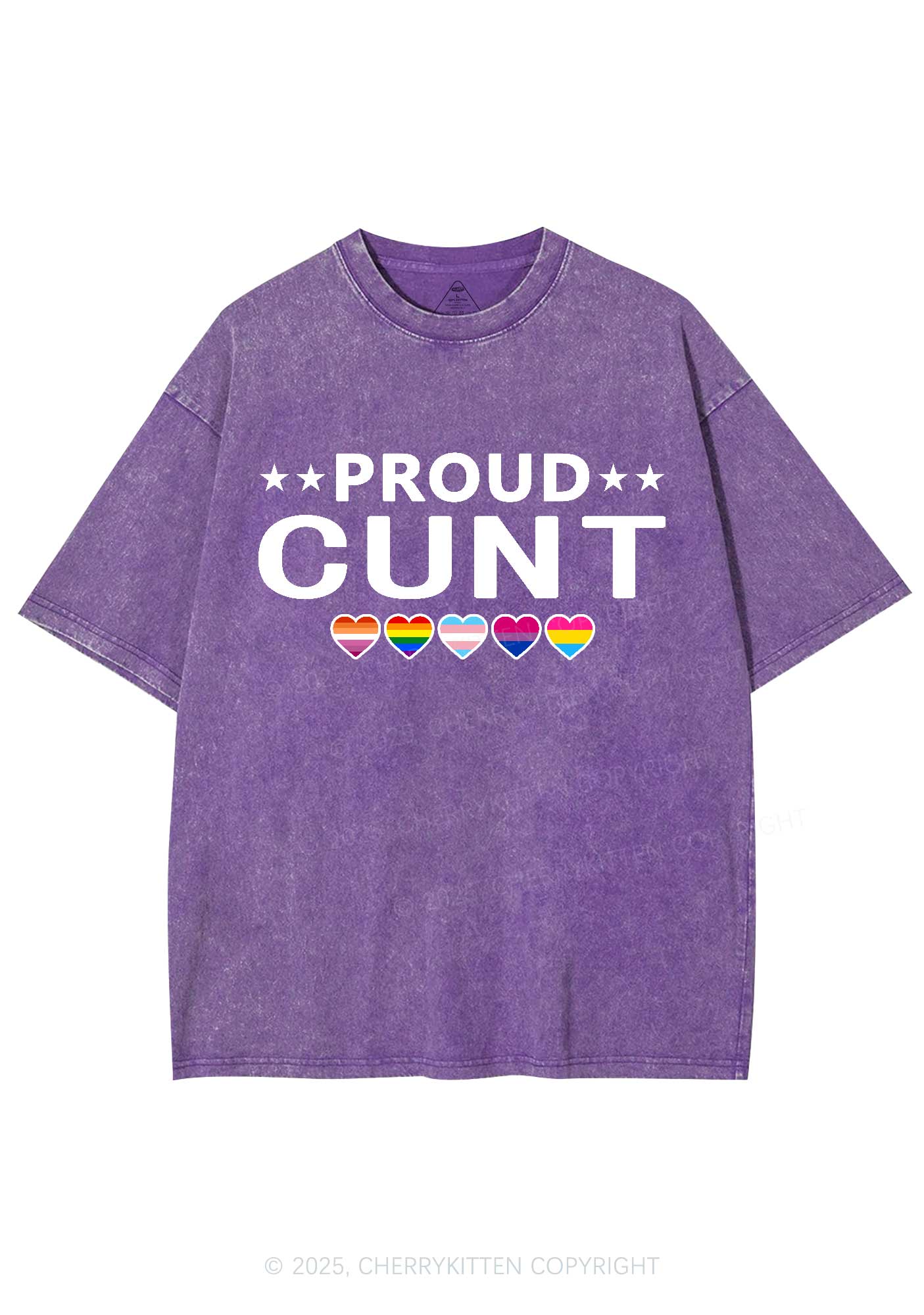 Proud Cxxt Pride Y2K Shirts Washed Tee Cherrykitten - Image 5