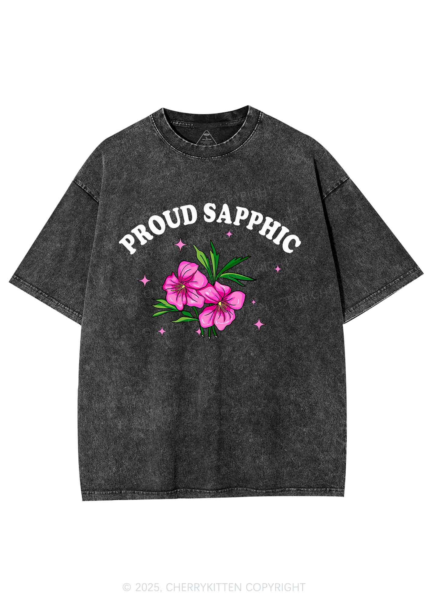 Proud Sapphic Y2K Shirts Washed Tee Cherrykitten - Image 3