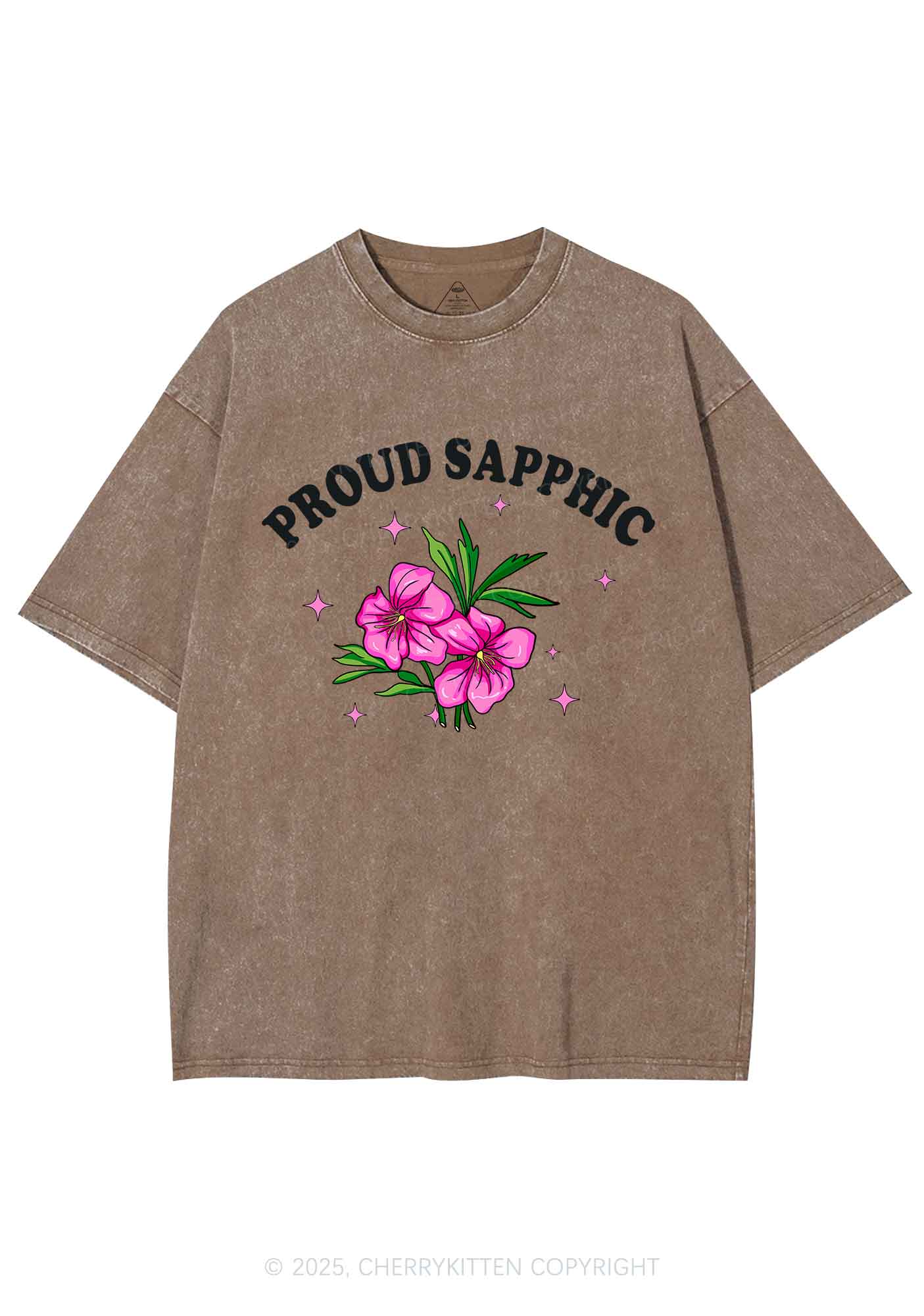Proud Sapphic Y2K Shirts Washed Tee Cherrykitten - Image 6