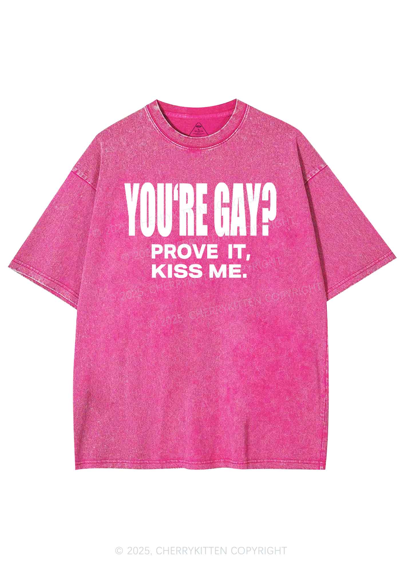 Prove It kiss Me Pride Y2K Shirts Washed Tee Cherrykitten - Image 4