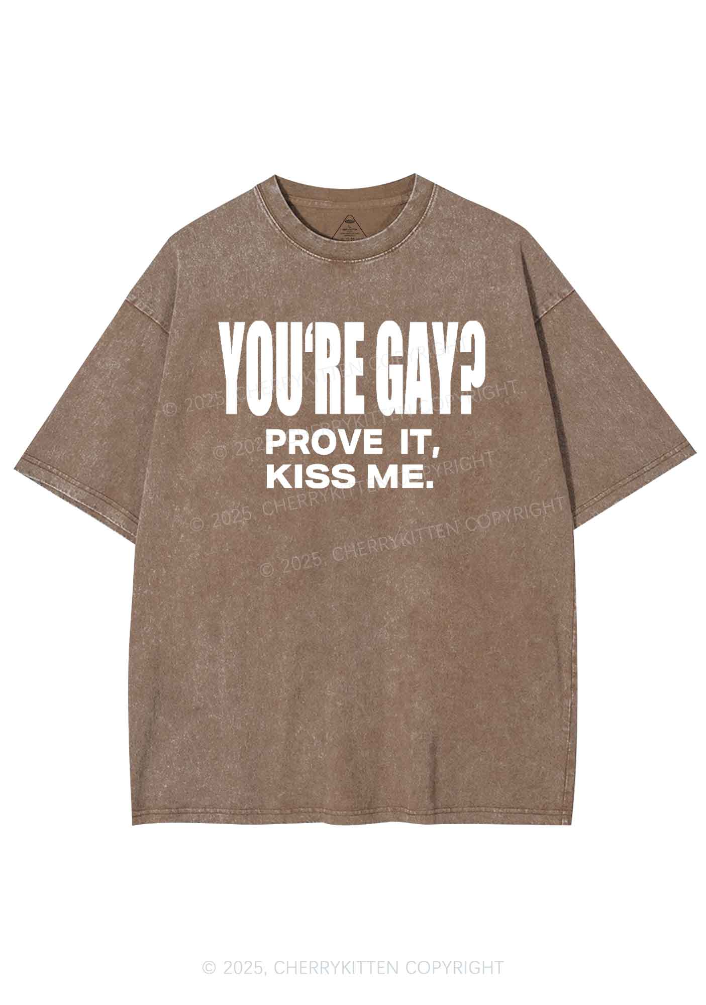 Prove It kiss Me Pride Y2K Shirts Washed Tee Cherrykitten - Image 6