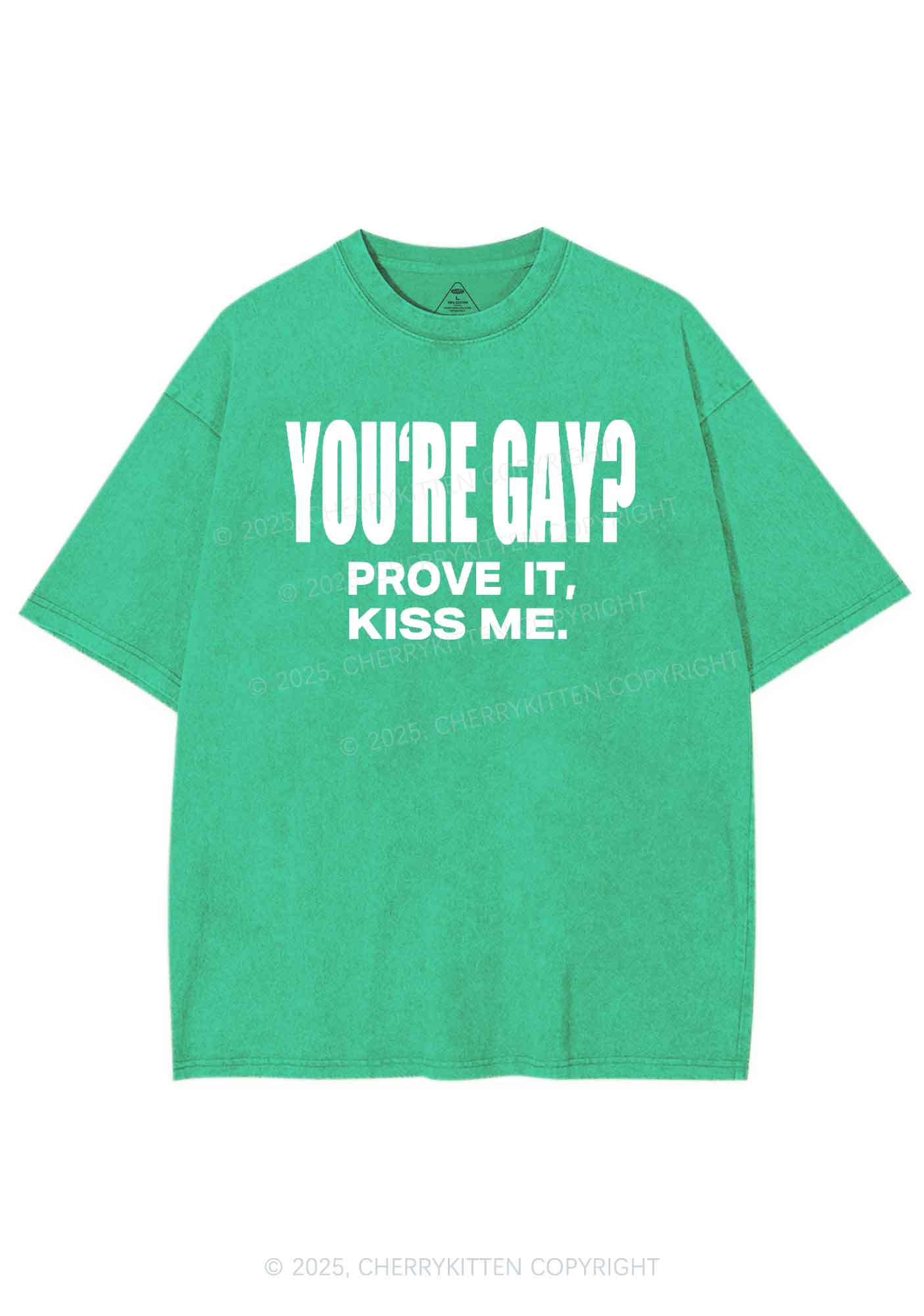 Prove It kiss Me Pride Y2K Shirts Washed Tee Cherrykitten - Image 8