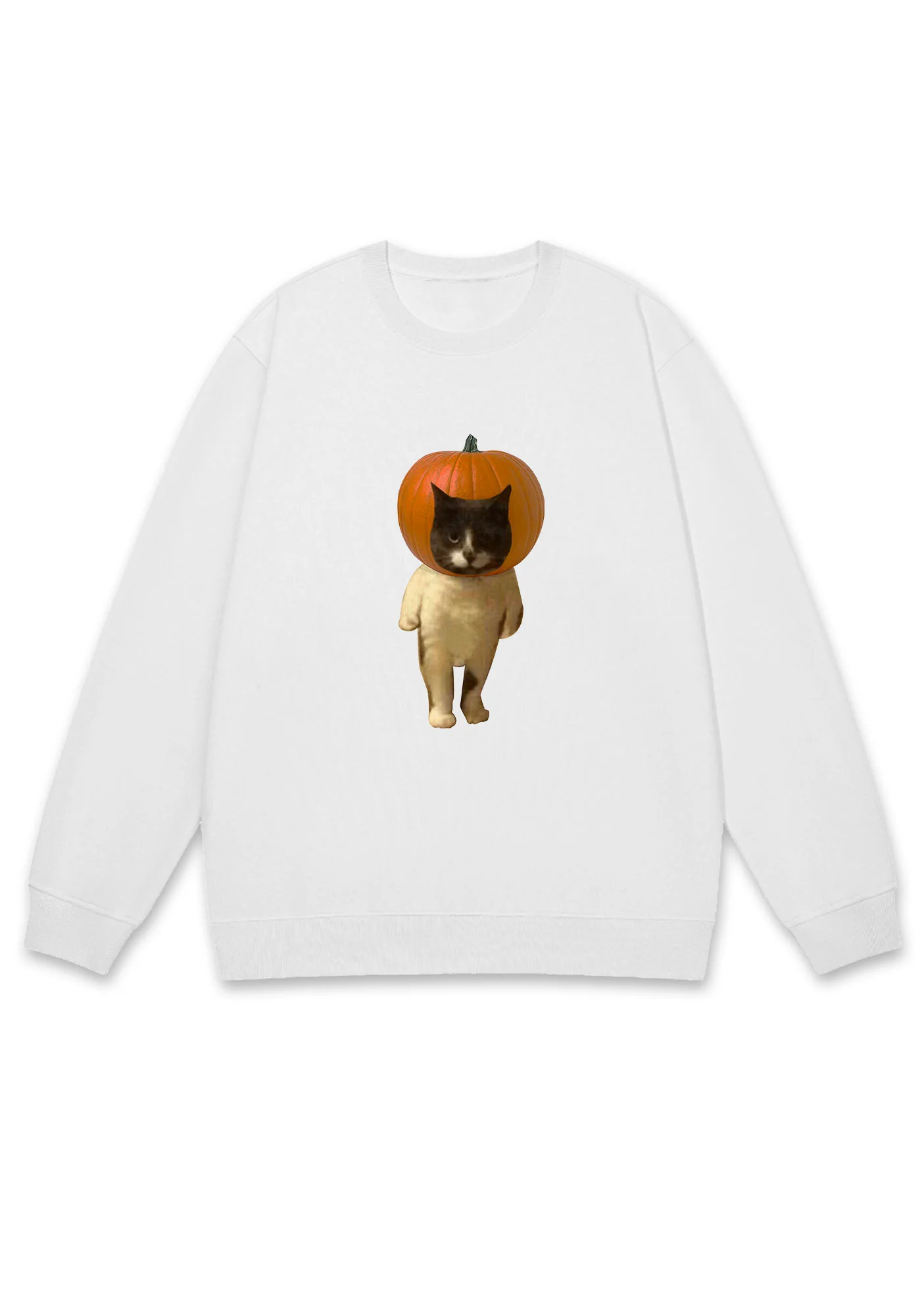 Pumpkin Head Cat Halloween Y2K Sweatshirt Cherrykitten - Image 3