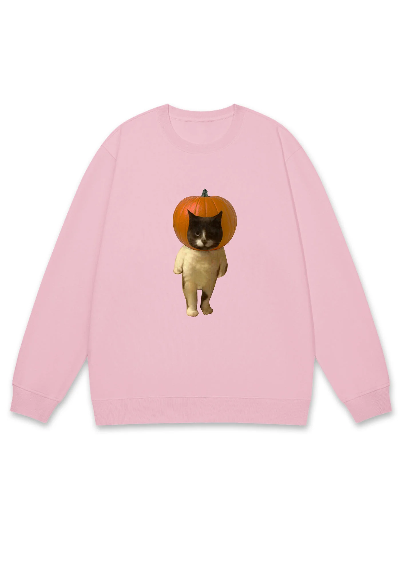 Pumpkin Head Cat Halloween Y2K Sweatshirt Cherrykitten - Image 5