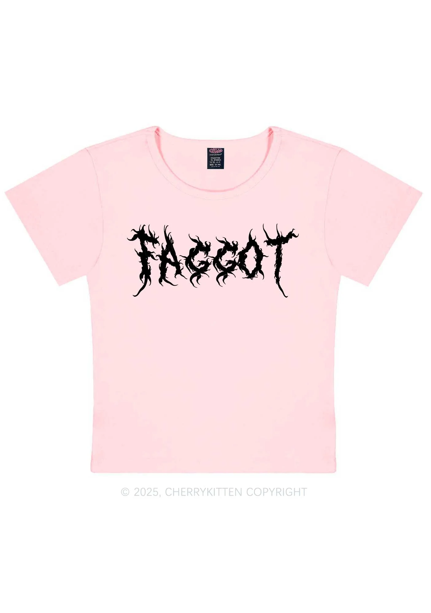 Punk Faggot Pride Y2K Baby Tee Cherrykitten - Image 11