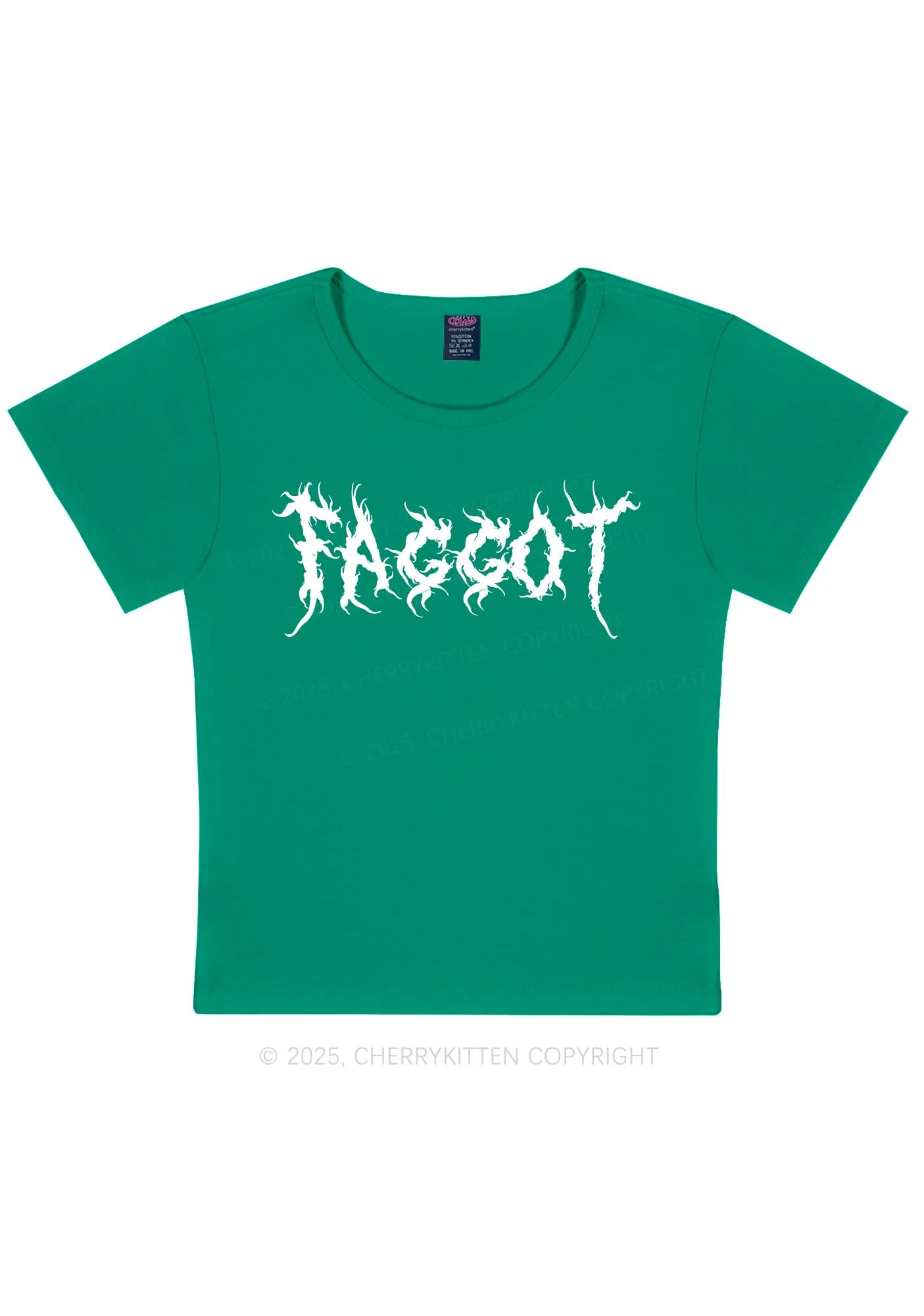Punk Faggot Pride Y2K Baby Tee Cherrykitten - Image 13