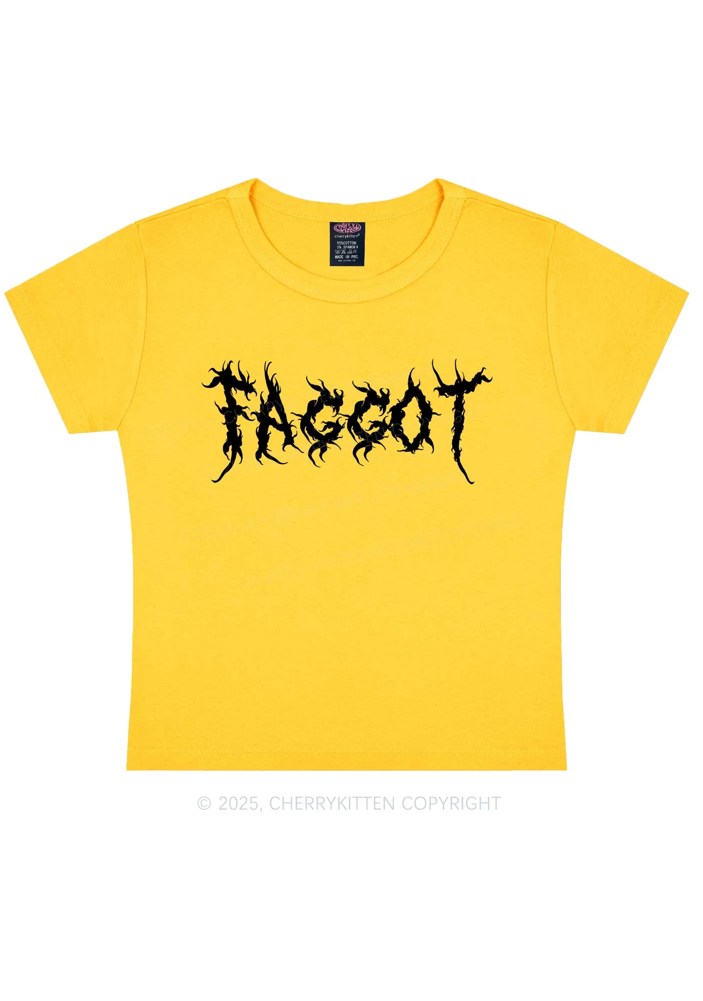 Punk Faggot Pride Y2K Baby Tee Cherrykitten - Image 5