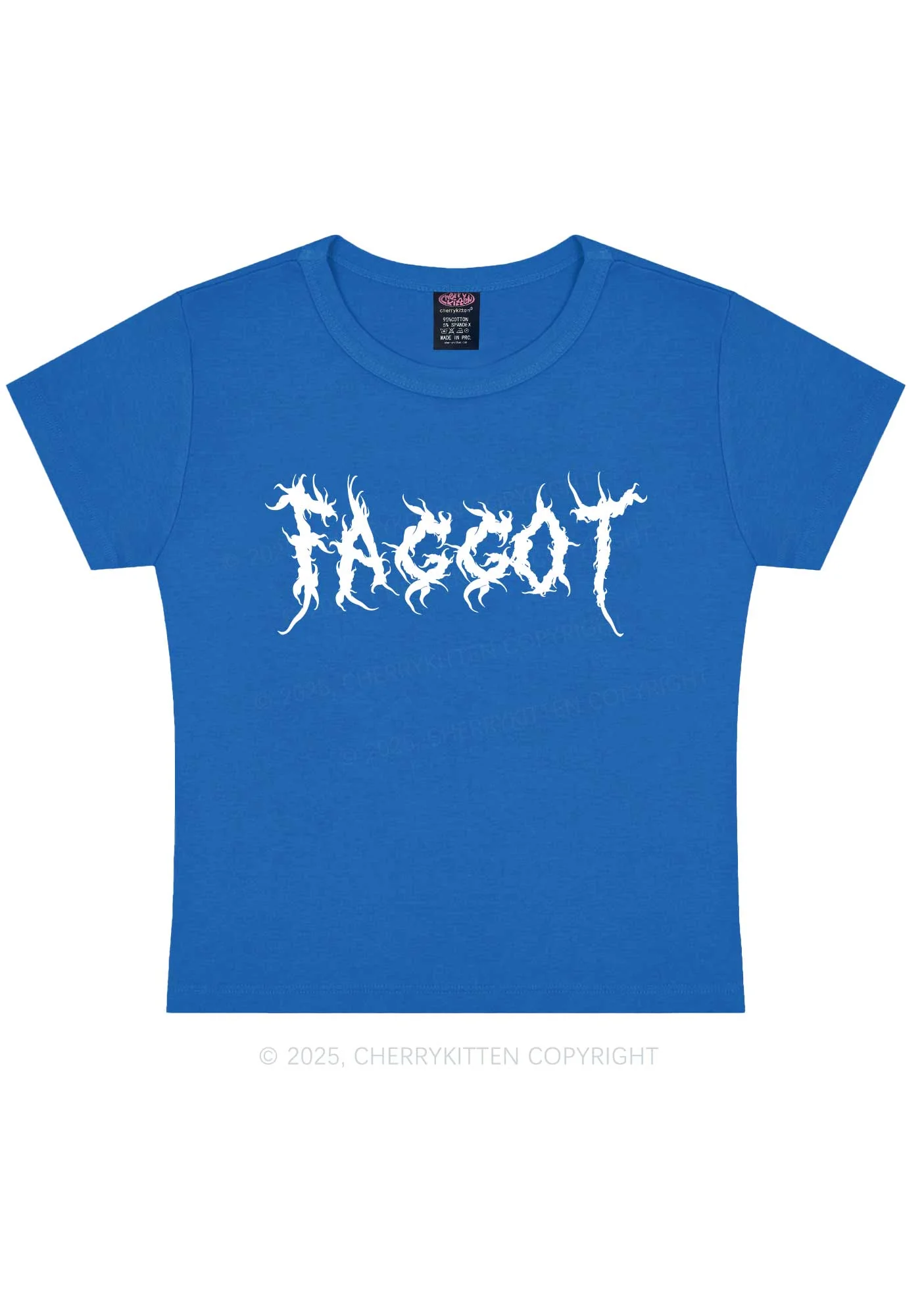 Punk Faggot Pride Y2K Baby Tee Cherrykitten - Image 9