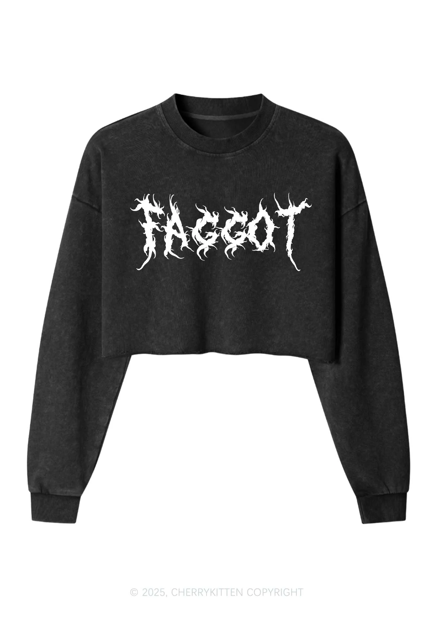 Punk Faggot Pride Y2K Crop Washed Sweatshirts Cherrykitten - Image 3