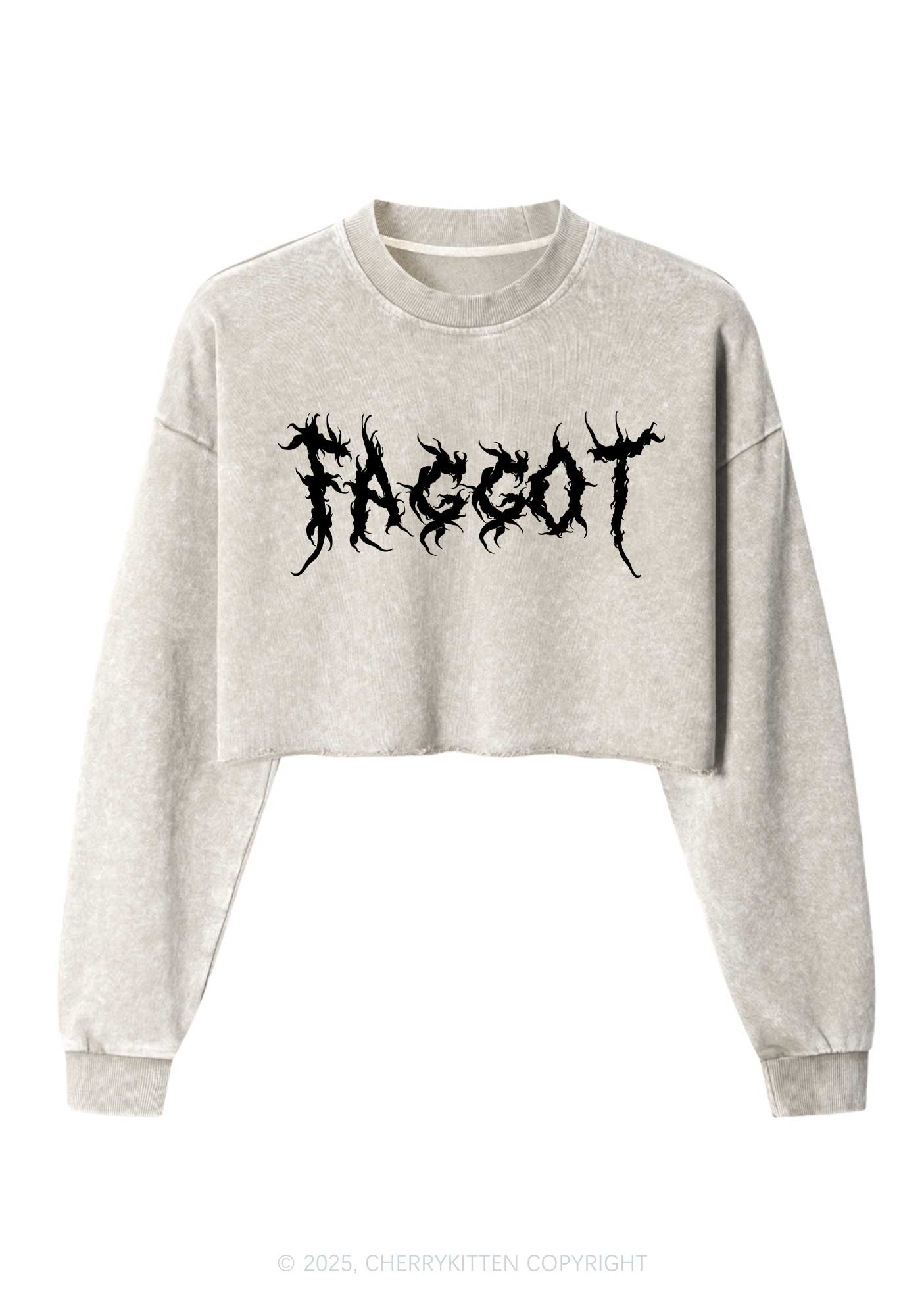 Punk Faggot Pride Y2K Crop Washed Sweatshirts Cherrykitten - Image 4