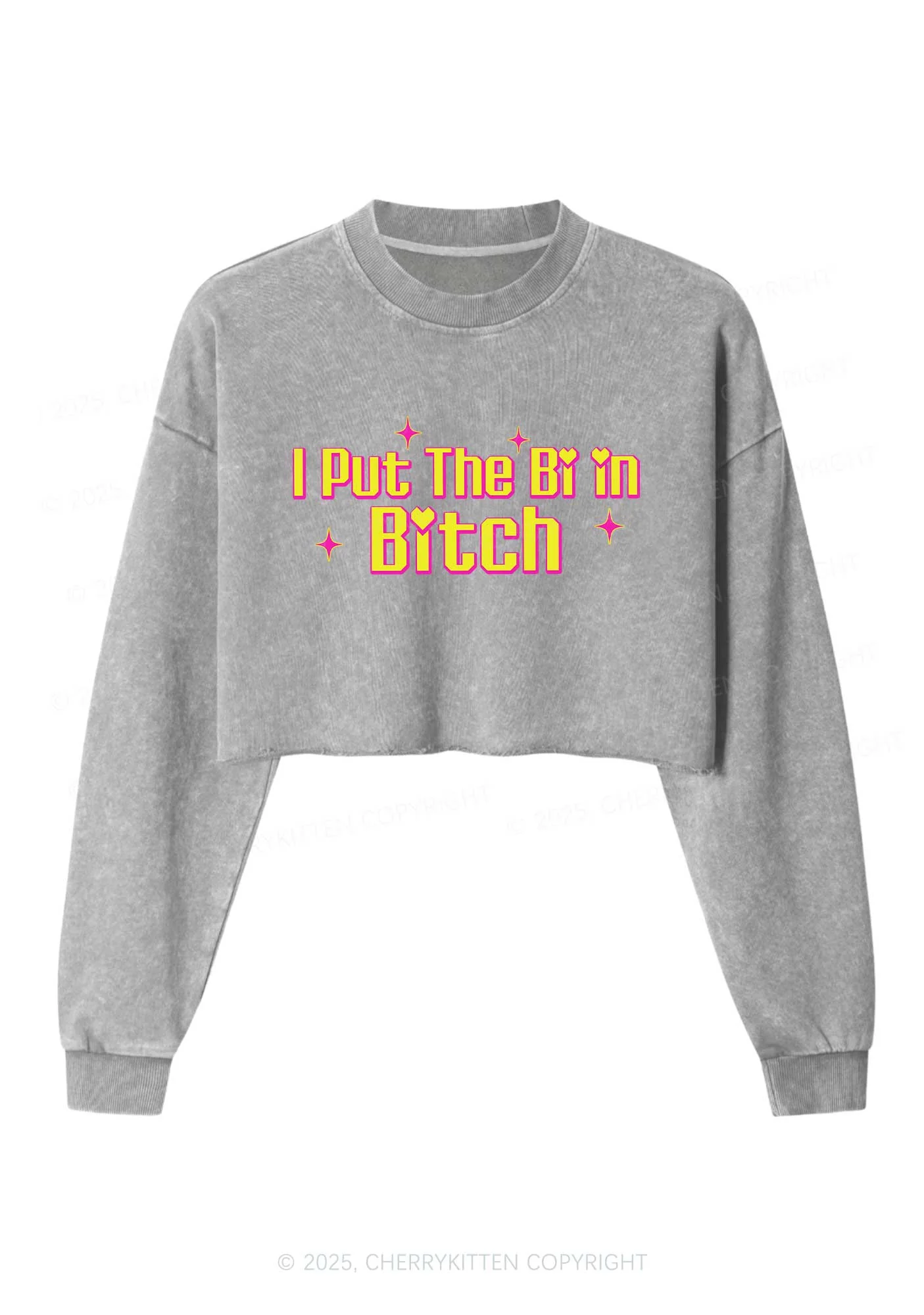Put The Bi In Bxxch Pride Y2K Crop Washed Sweatshirts Cherrykitten - Image 4