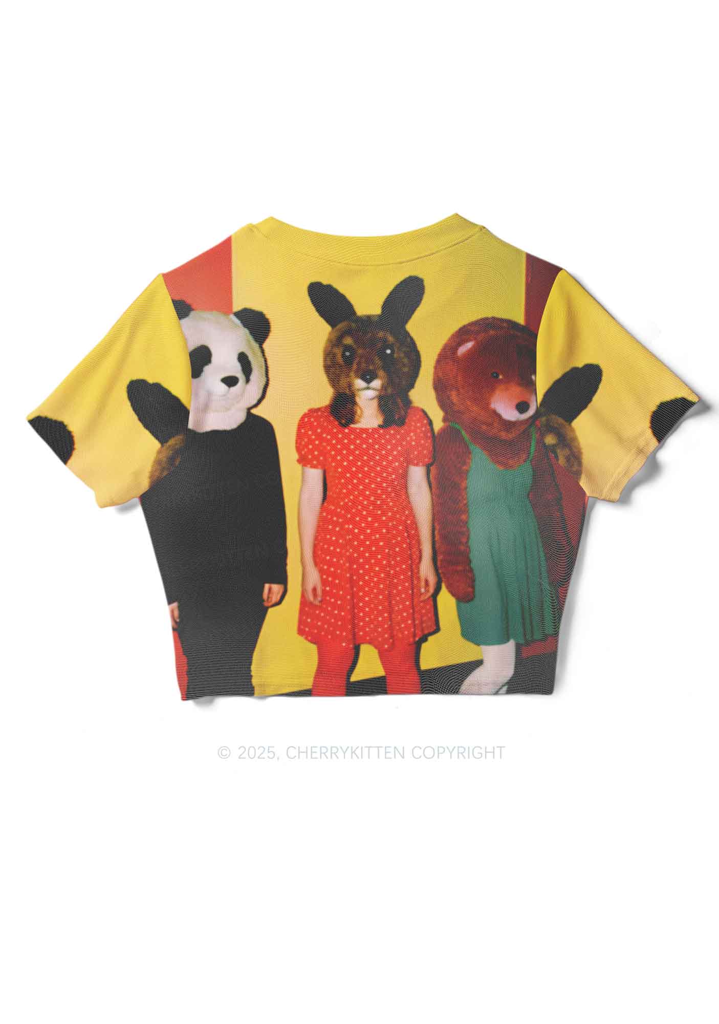 Rabbit Mask Girl Y2K Mesh Crop Top Cherrykitten - Image 4
