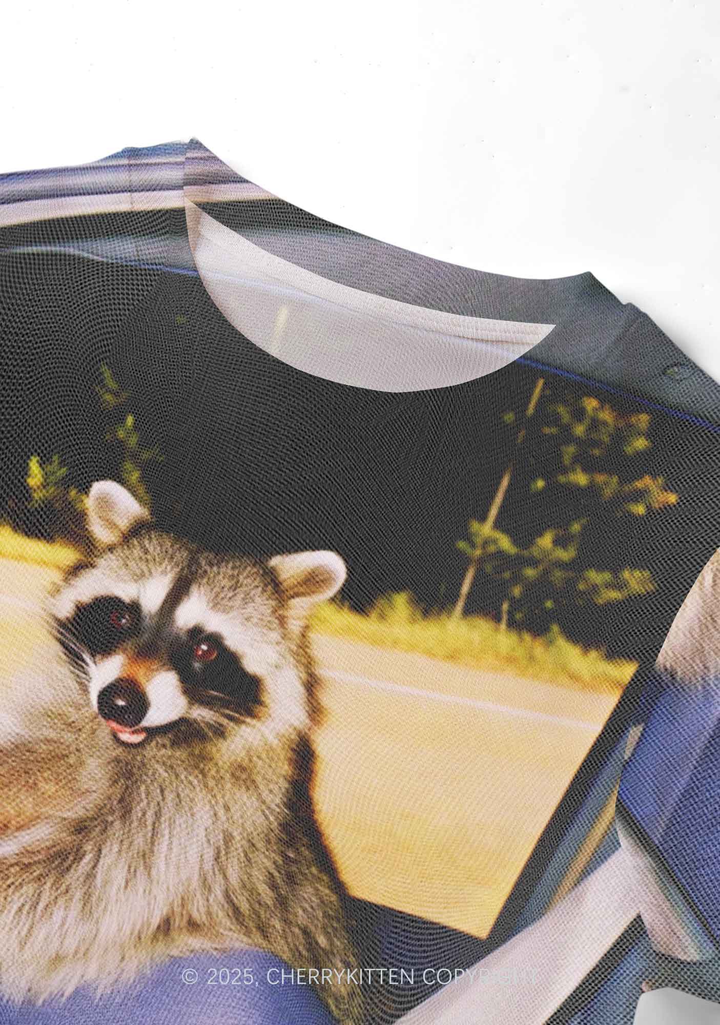 Raccoon Driver Y2K Mesh Crop Top Cherrykitten - Image 3
