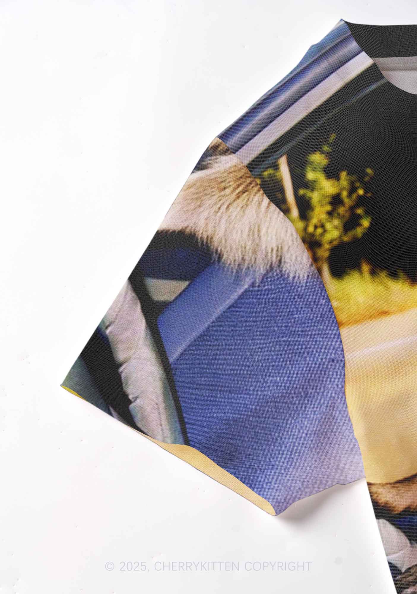 Raccoon Driver Y2K Mesh Crop Top Cherrykitten - Image 4