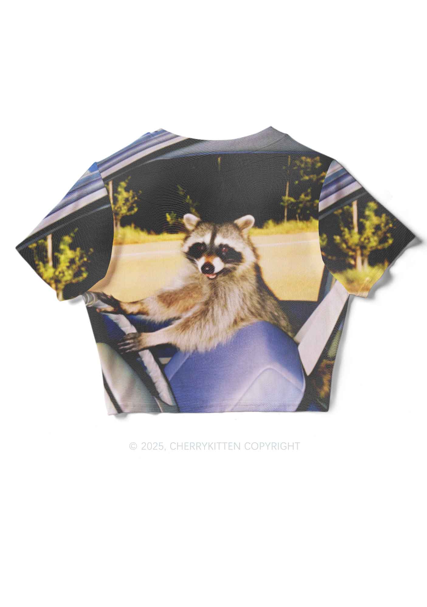 Raccoon Driver Y2K Mesh Crop Top Cherrykitten - Image 5