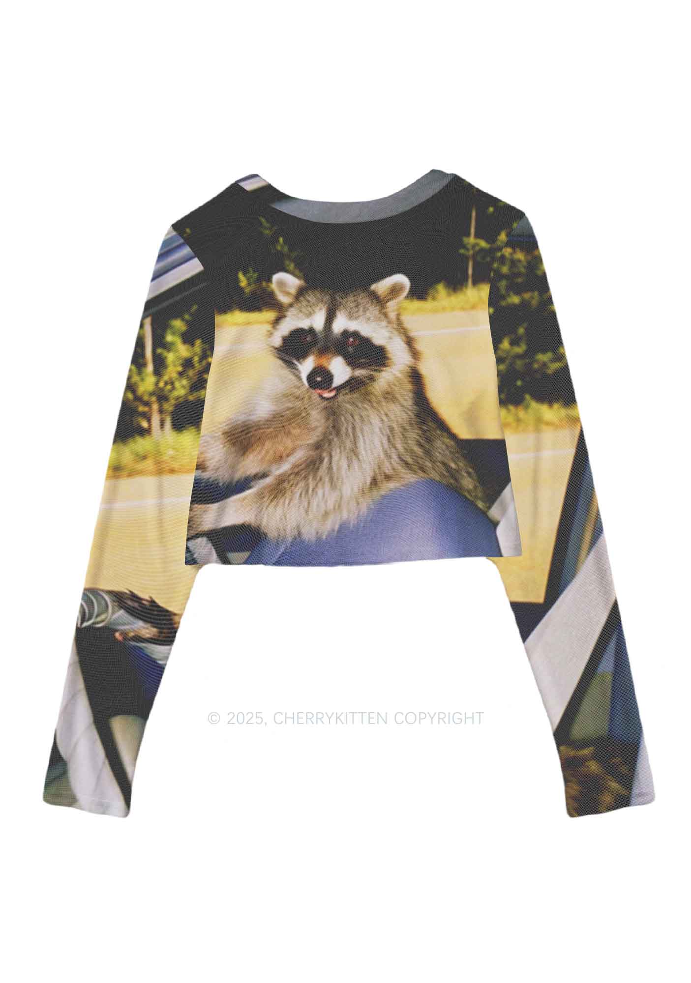 Raccoon Driver Y2K Mesh Long Sleeve Crop Top Cherrykitten - Image 3