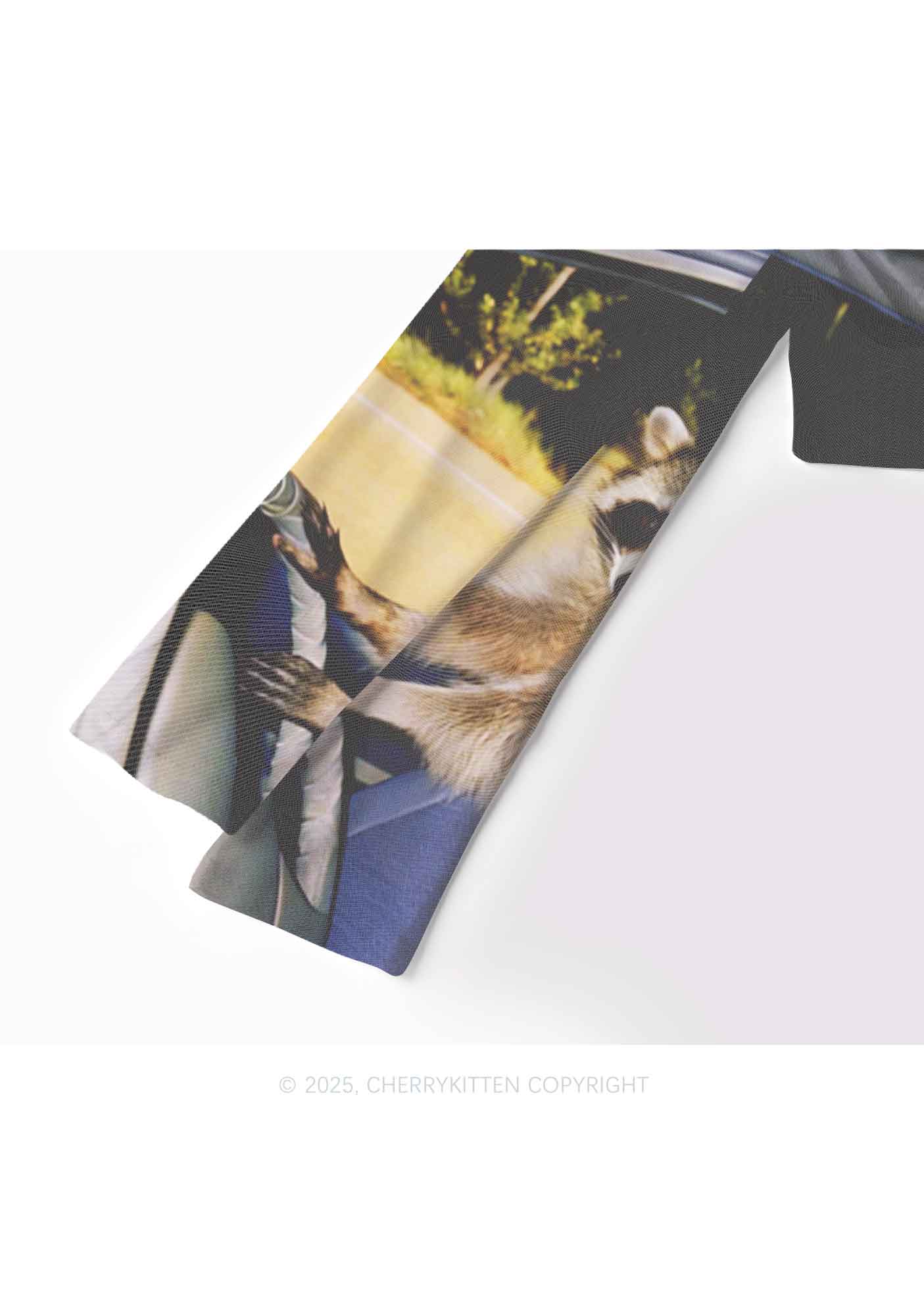 Raccoon Driver Y2K Mesh Long Sleeve Crop Top Cherrykitten - Image 4