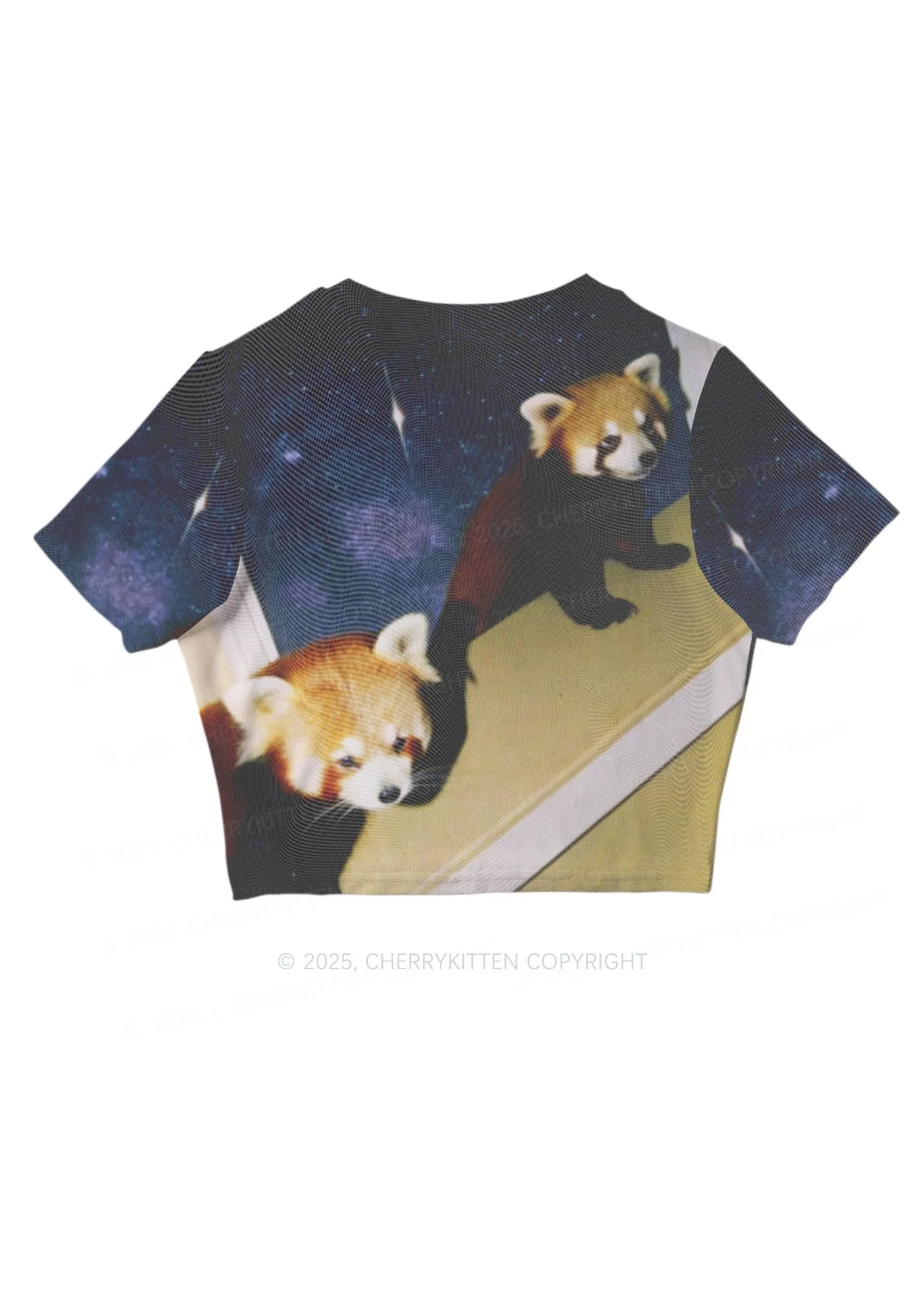 Raccoon Friends Y2K Mesh Crop Top Cherrykitten - Image 3