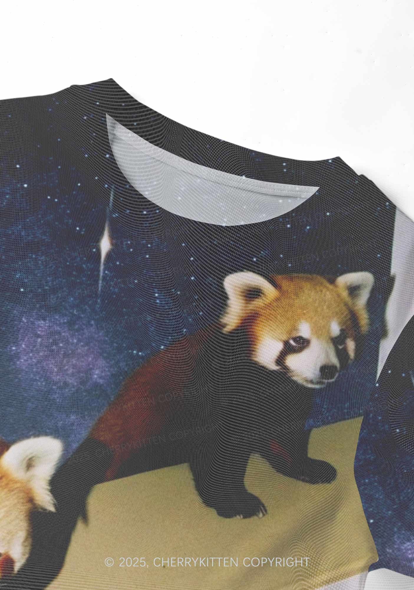 Raccoon Friends Y2K Mesh Crop Top Cherrykitten - Image 4