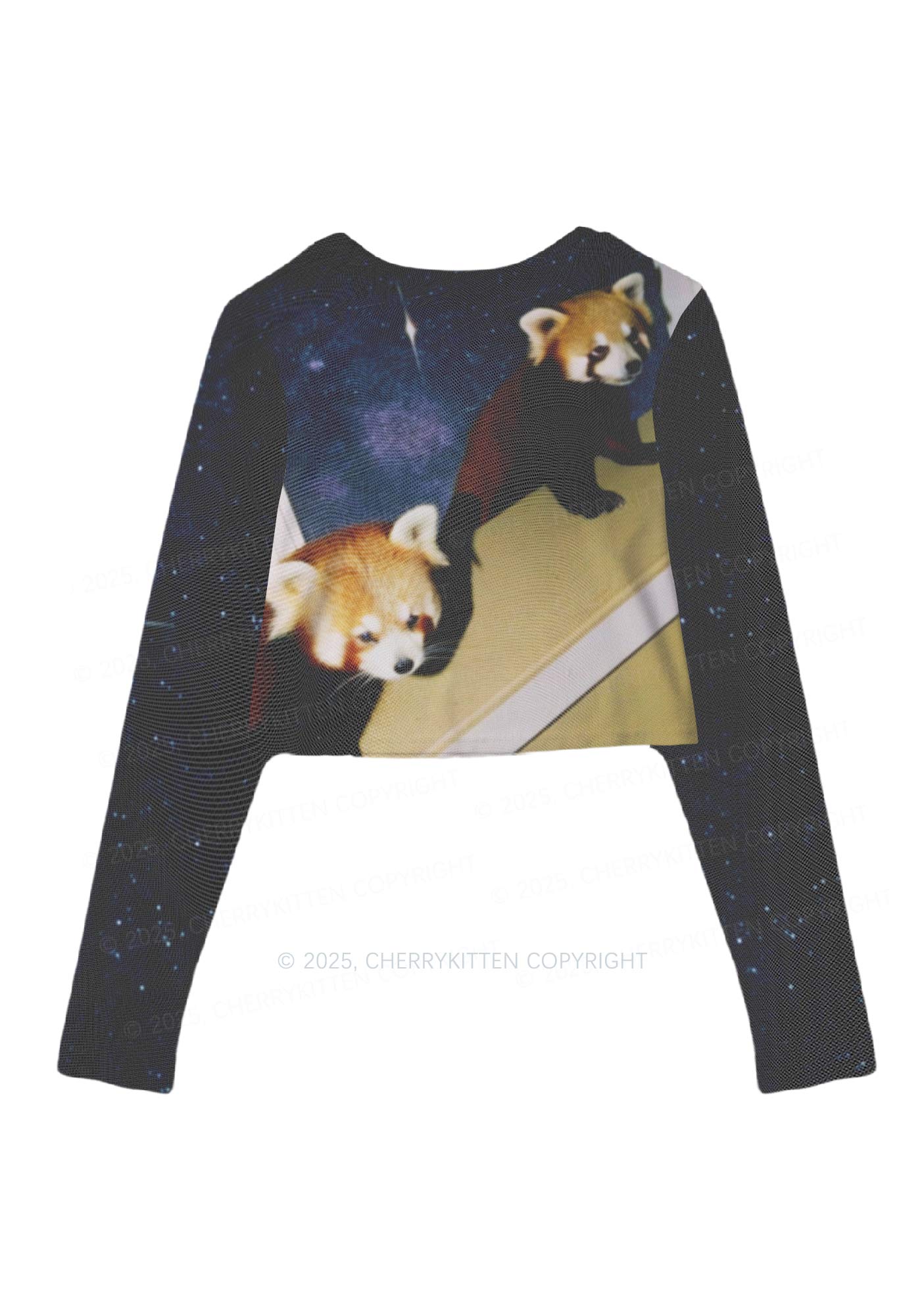 Raccoon Friends Y2K Mesh Long Sleeve Crop Top Cherrykitten - Image 3