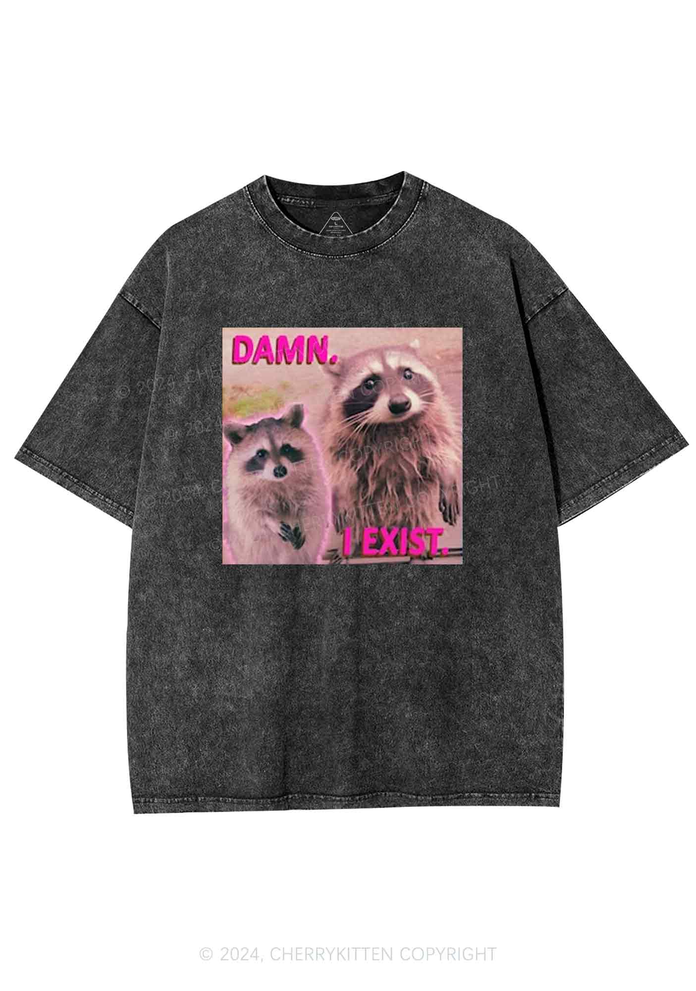 Raccoon I Exist Y2K Washed Tee Cherrykitten - Image 3
