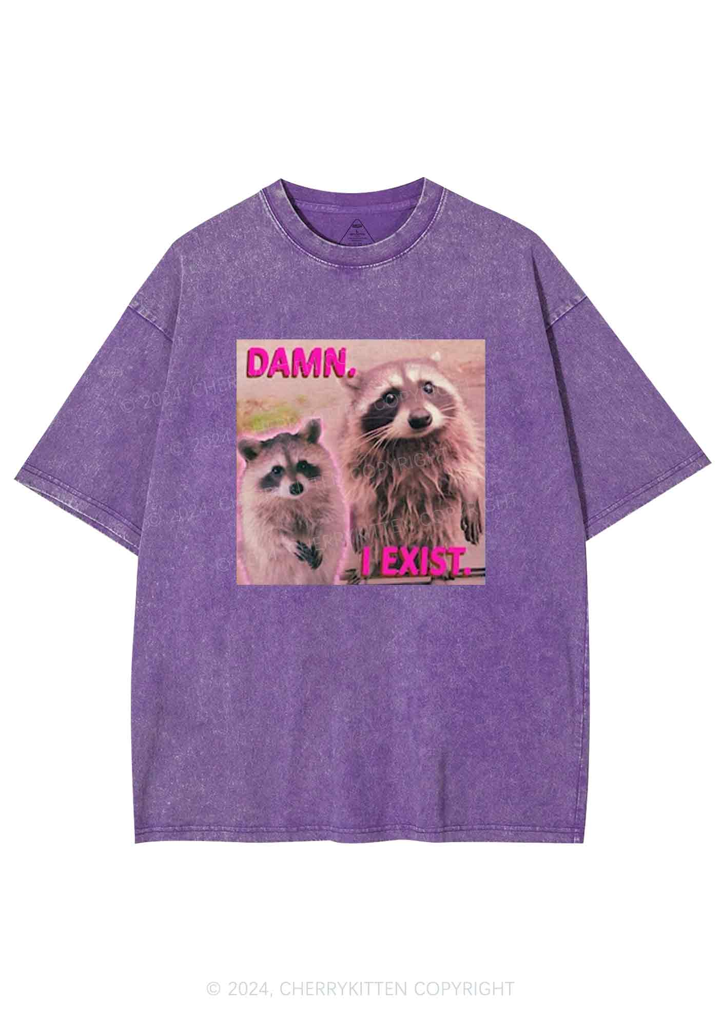 Raccoon I Exist Y2K Washed Tee Cherrykitten - Image 4