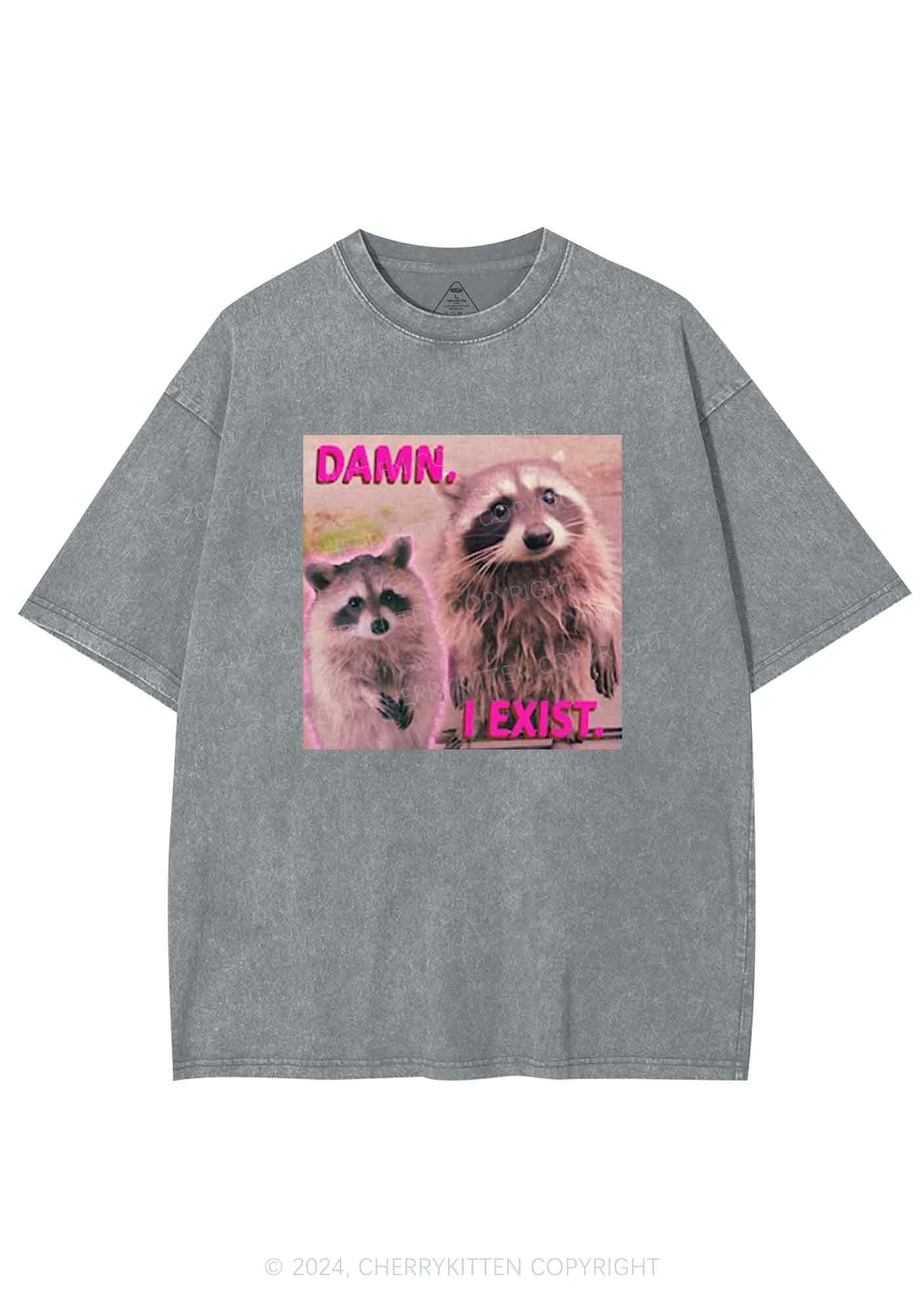 Raccoon I Exist Y2K Washed Tee Cherrykitten - Image 6